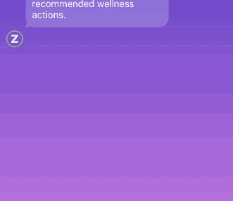 zippychatbot2.gif