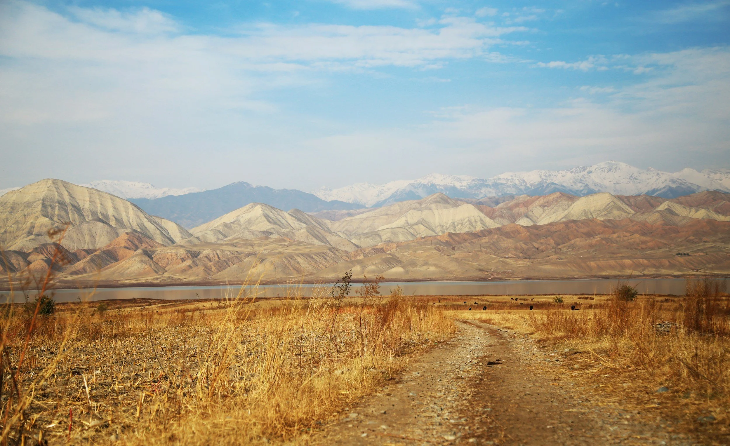 A dirt road running through a dry, grassy plain with mountains  the background under a partly cloudy blue sky.