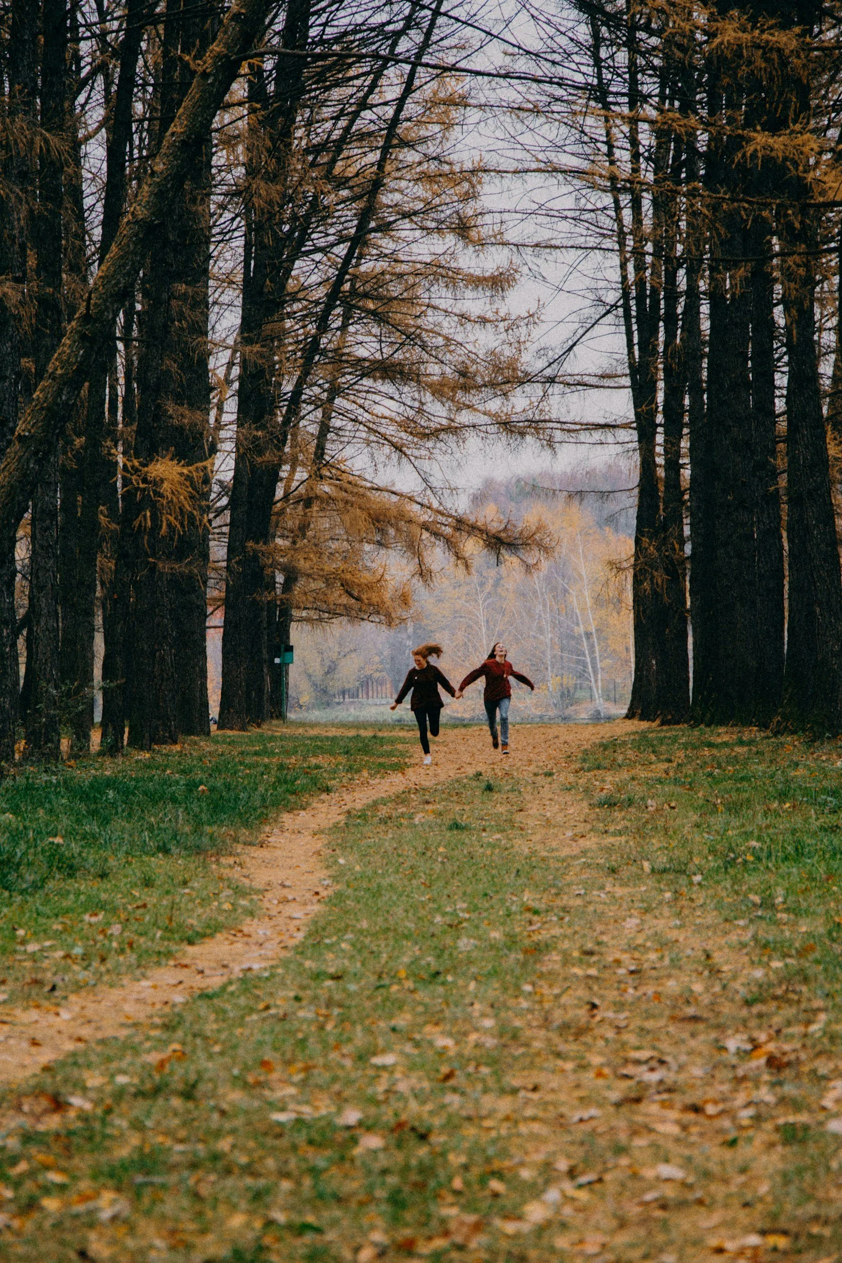 Two people holding hands and running down a dirt path through a forest with tall trees during autumn.