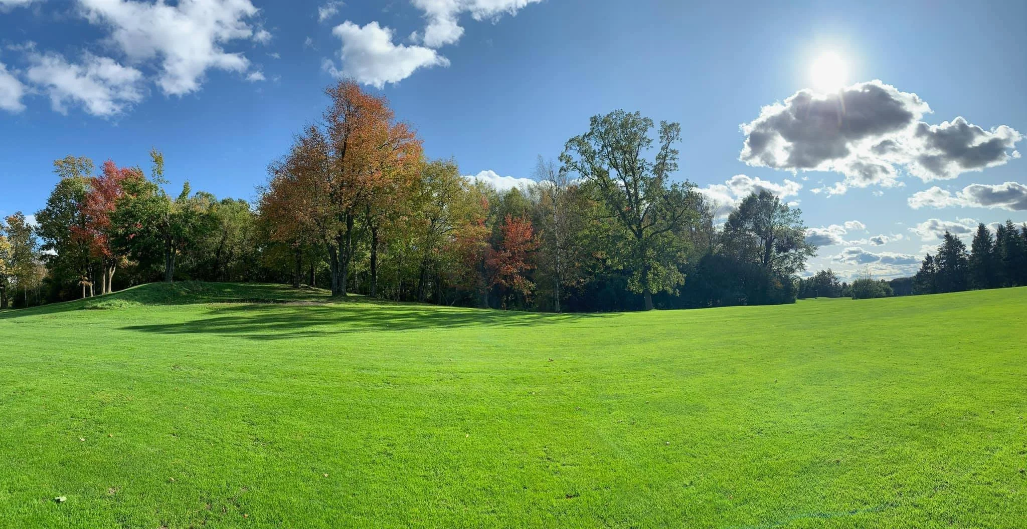 great wide angle pic.jpg