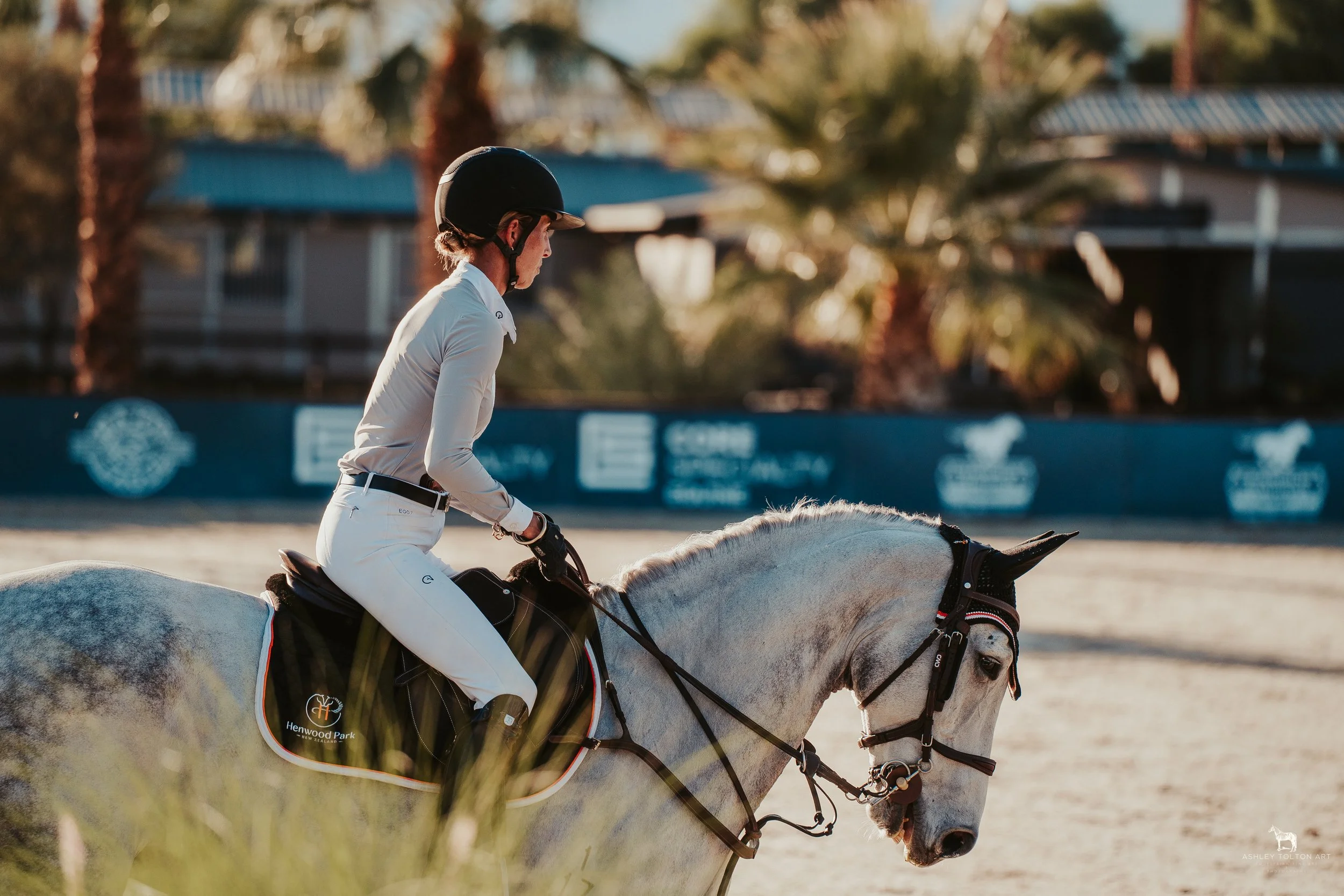 20251109-DSC04094 copy.jpg