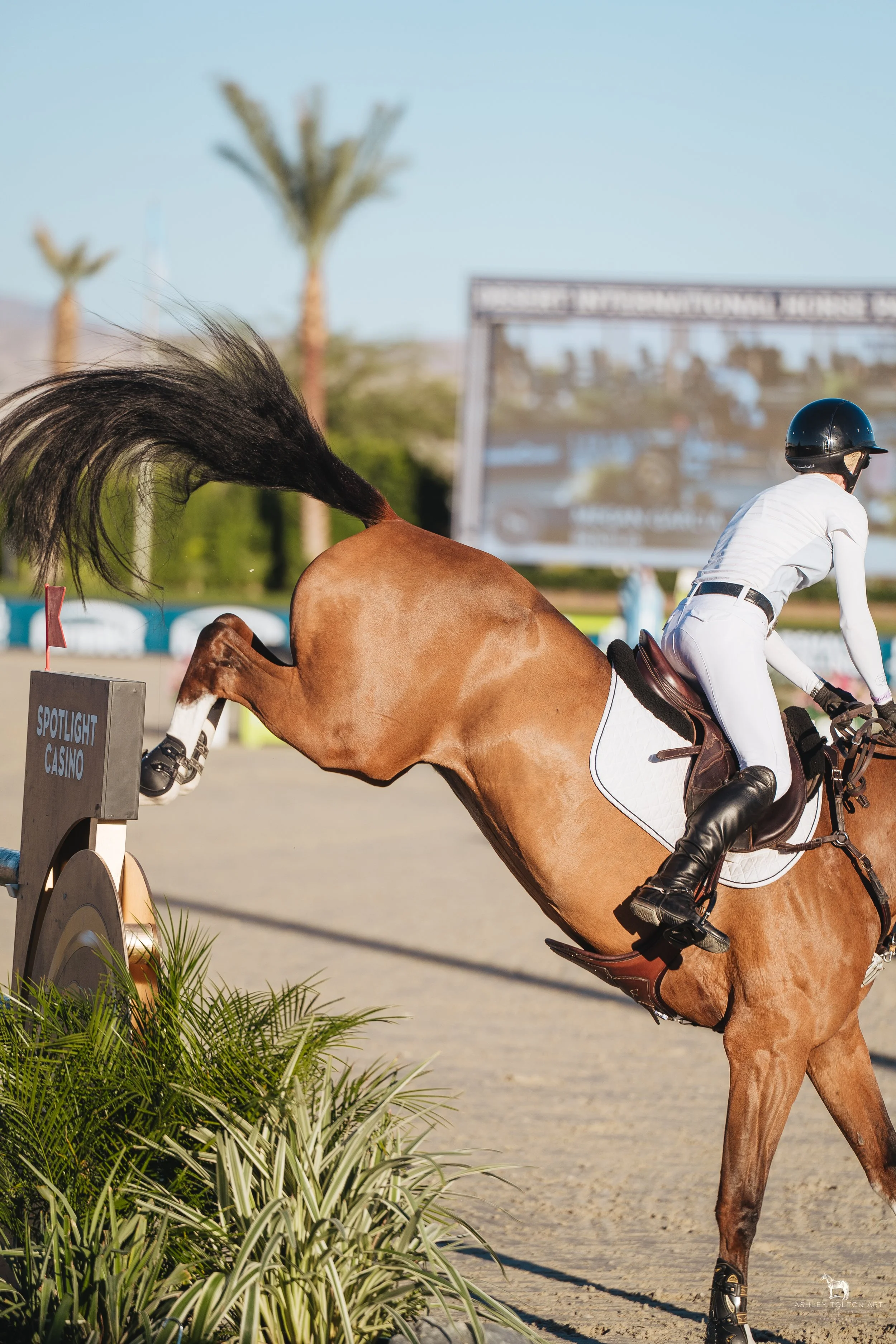 20251109-DSC04168 copy.jpg