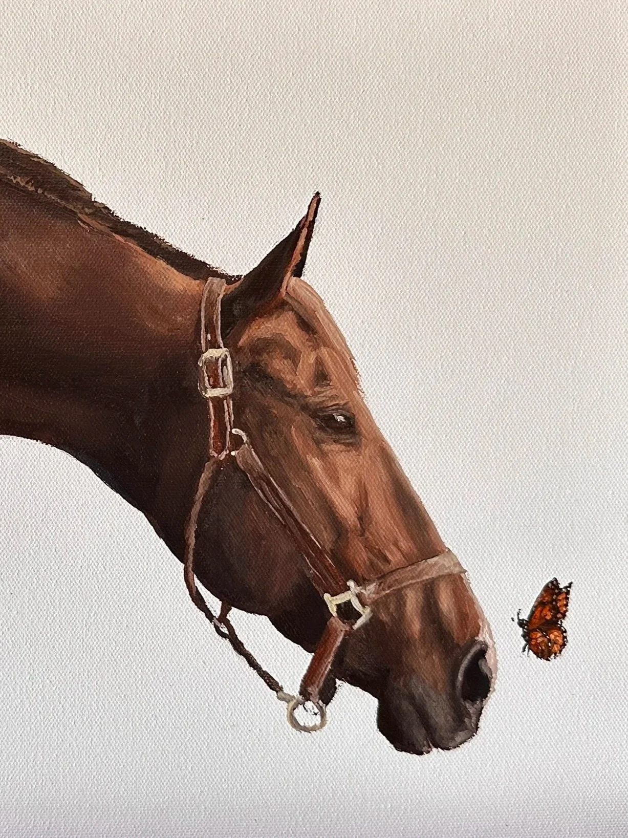 'Monarch' 12"x18" original oil on canvas