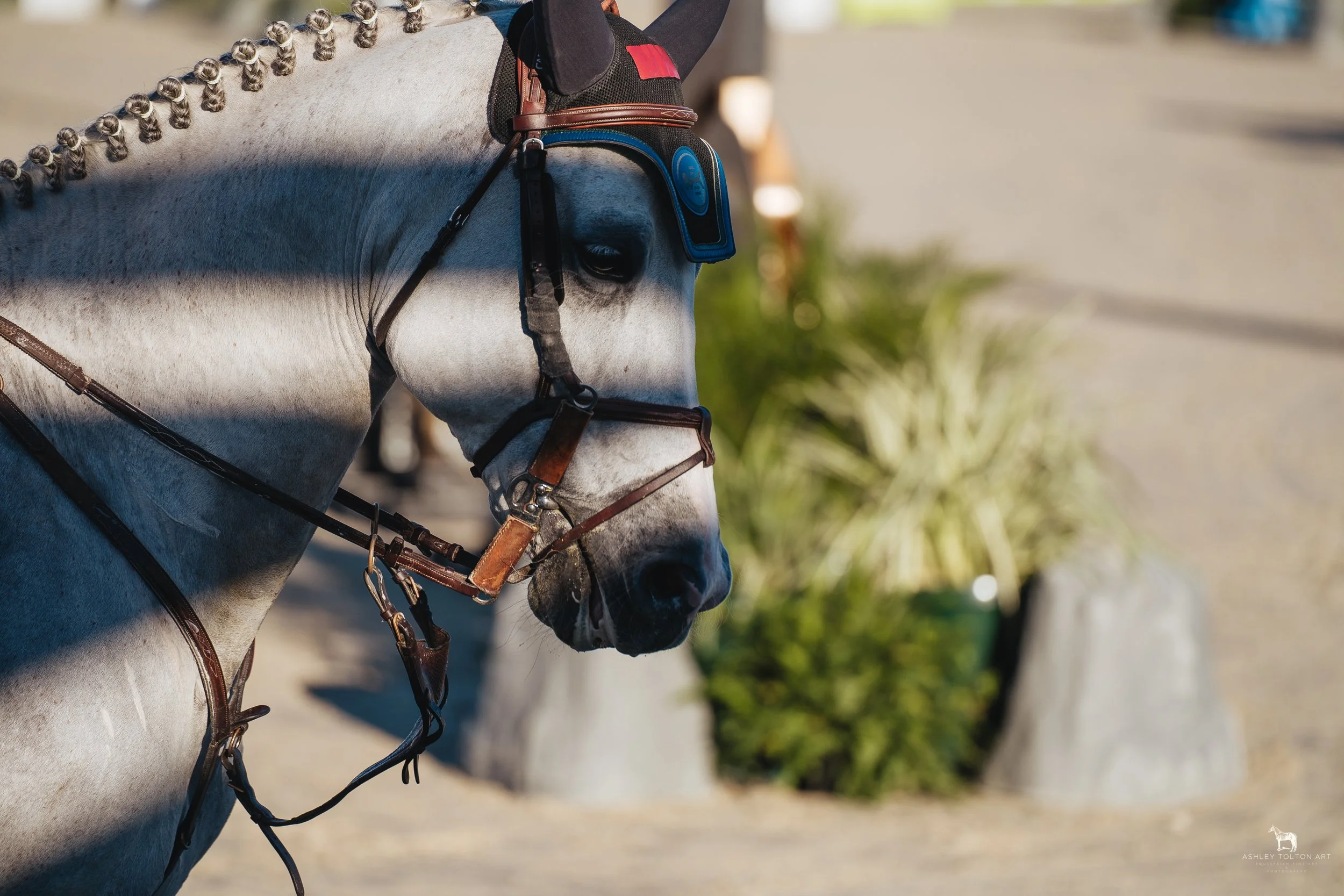 20251109-DSC03895 copy.jpg