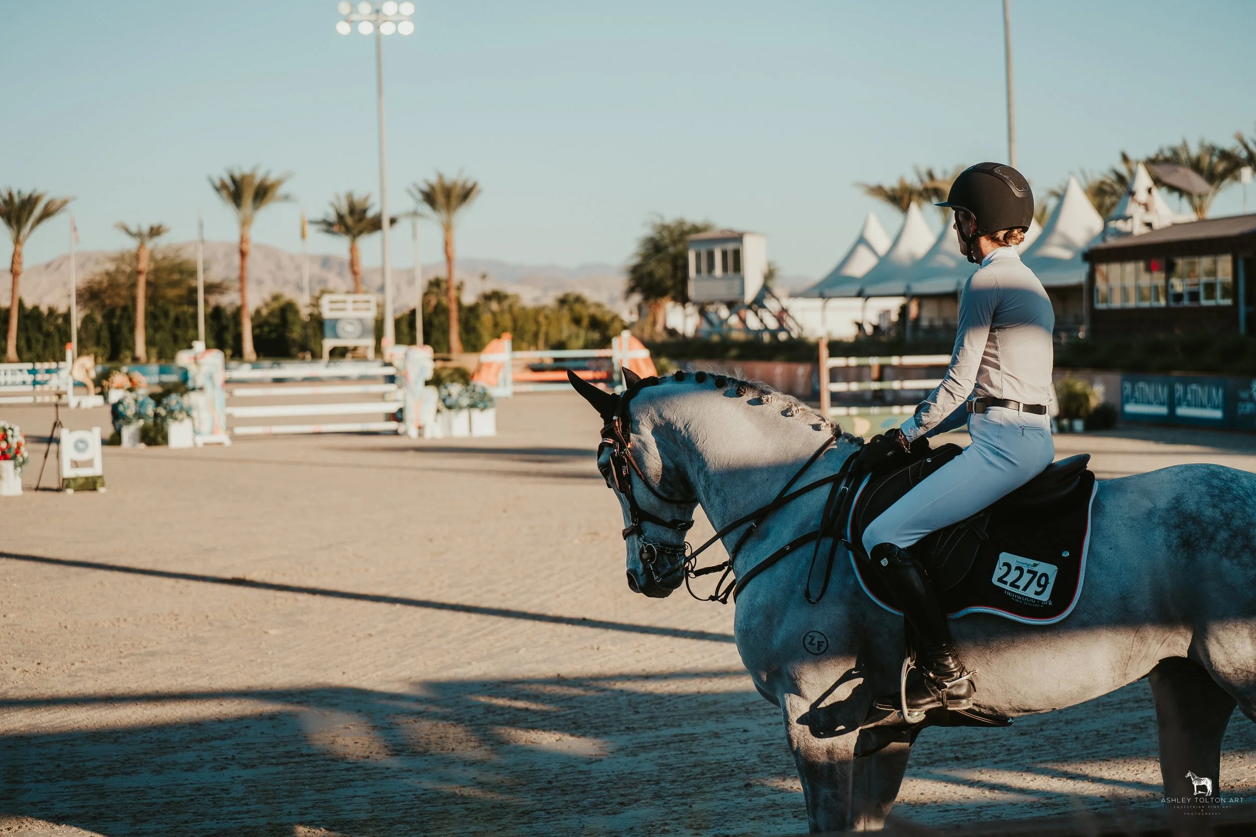 20251109-DSC04126 copy.jpg