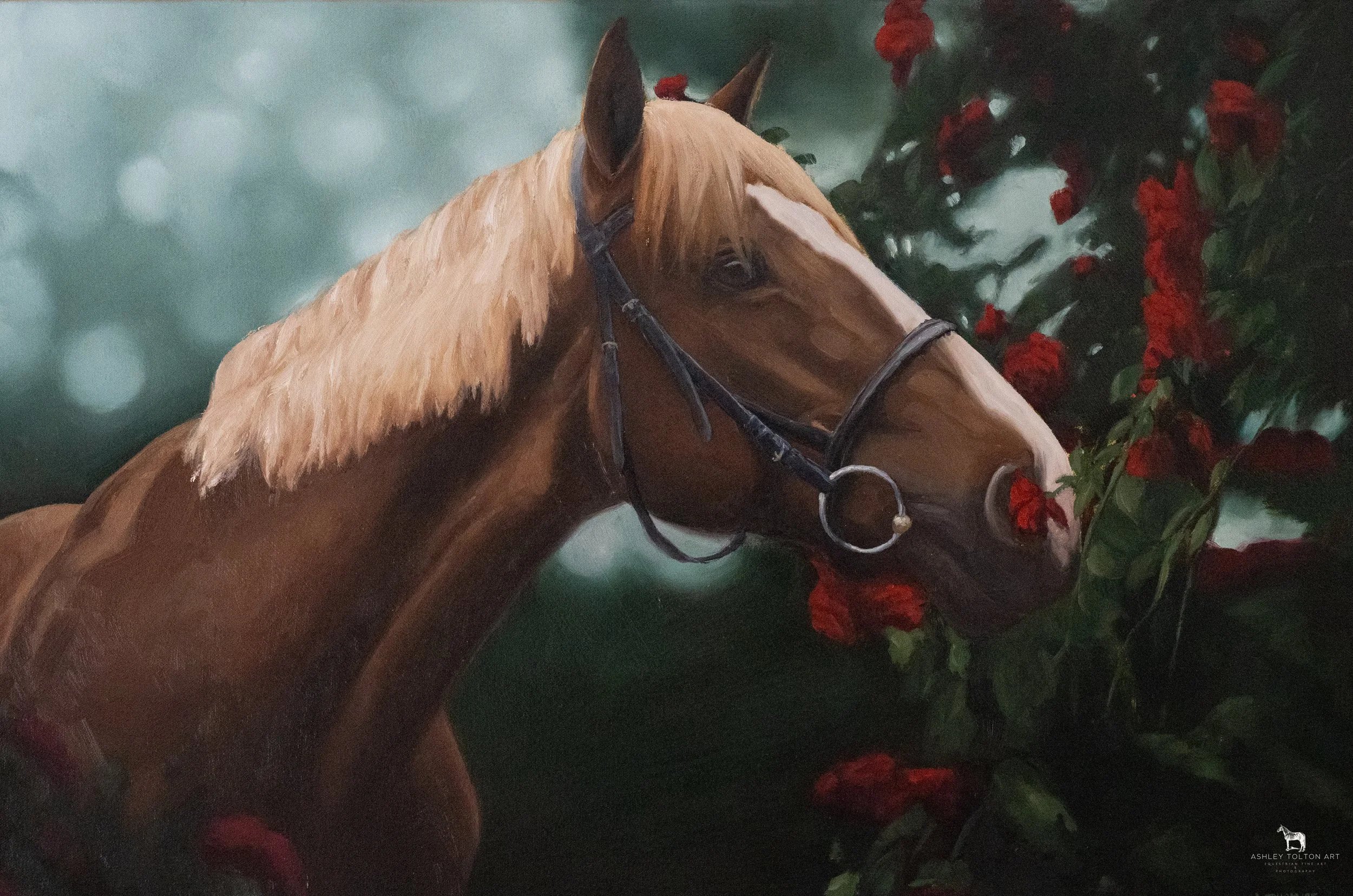 20"x30" oil on canvas. 2025. AVAILABLE.