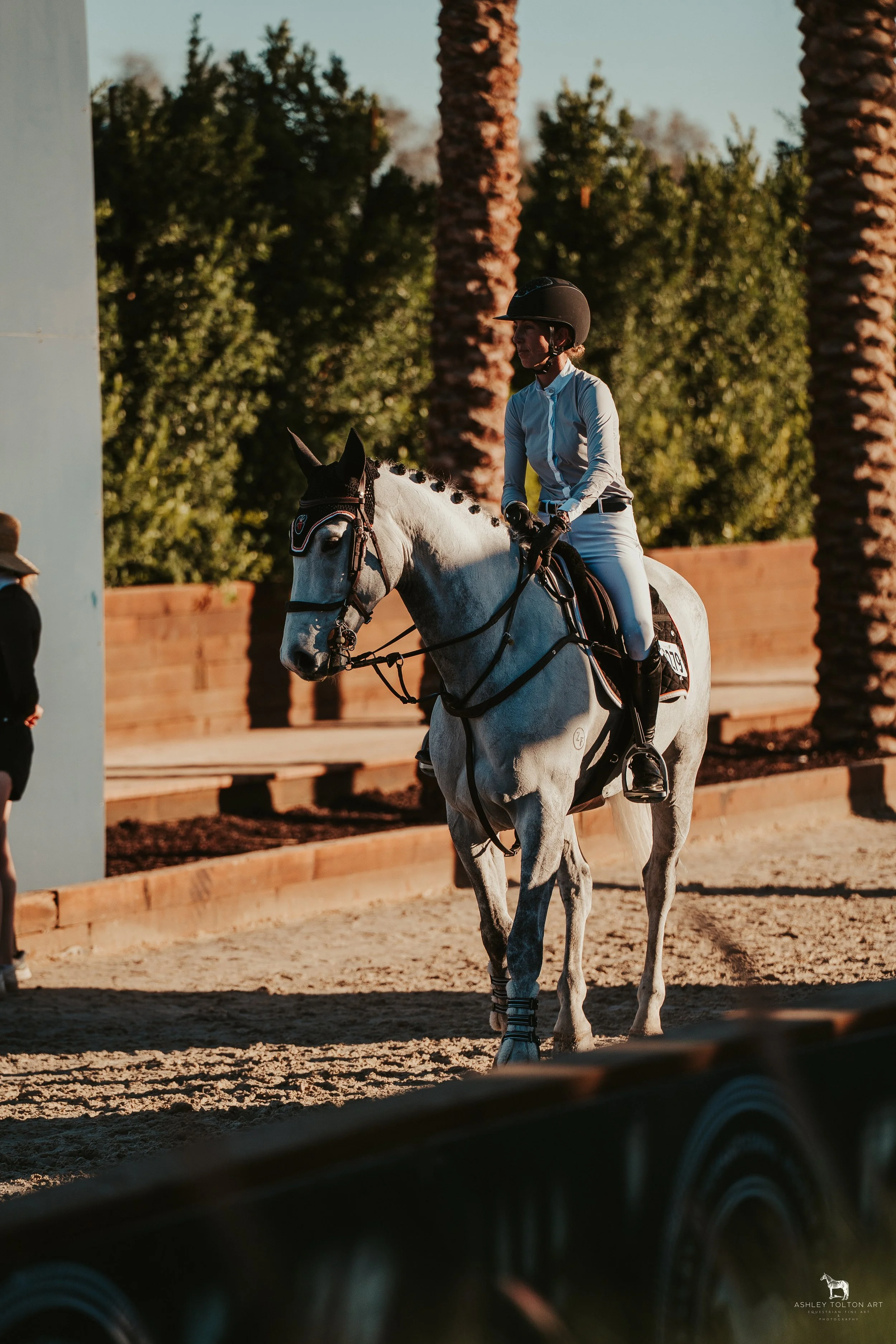 20251109-DSC04124 copy.jpg