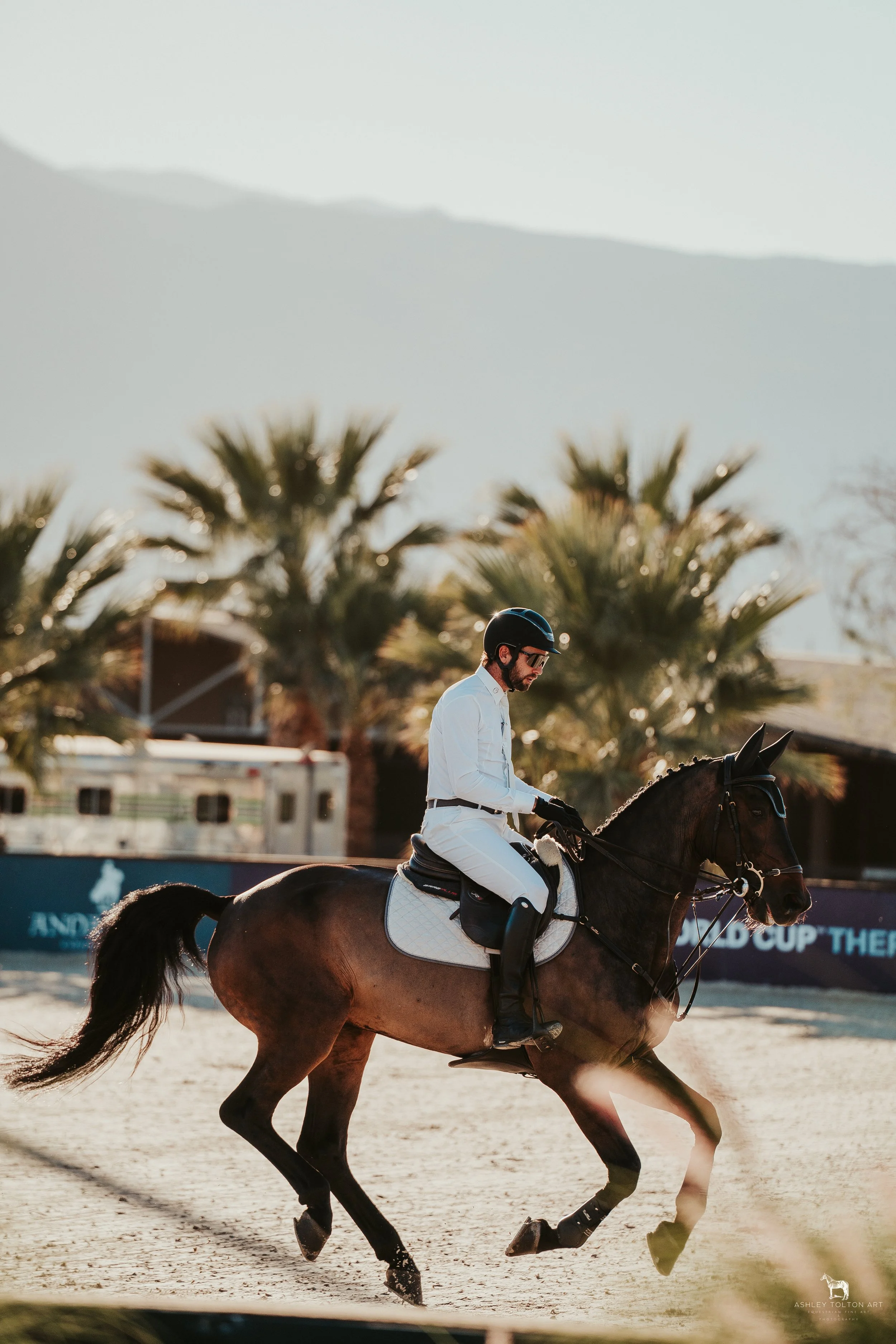 20251109-DSC03966 copy.jpg