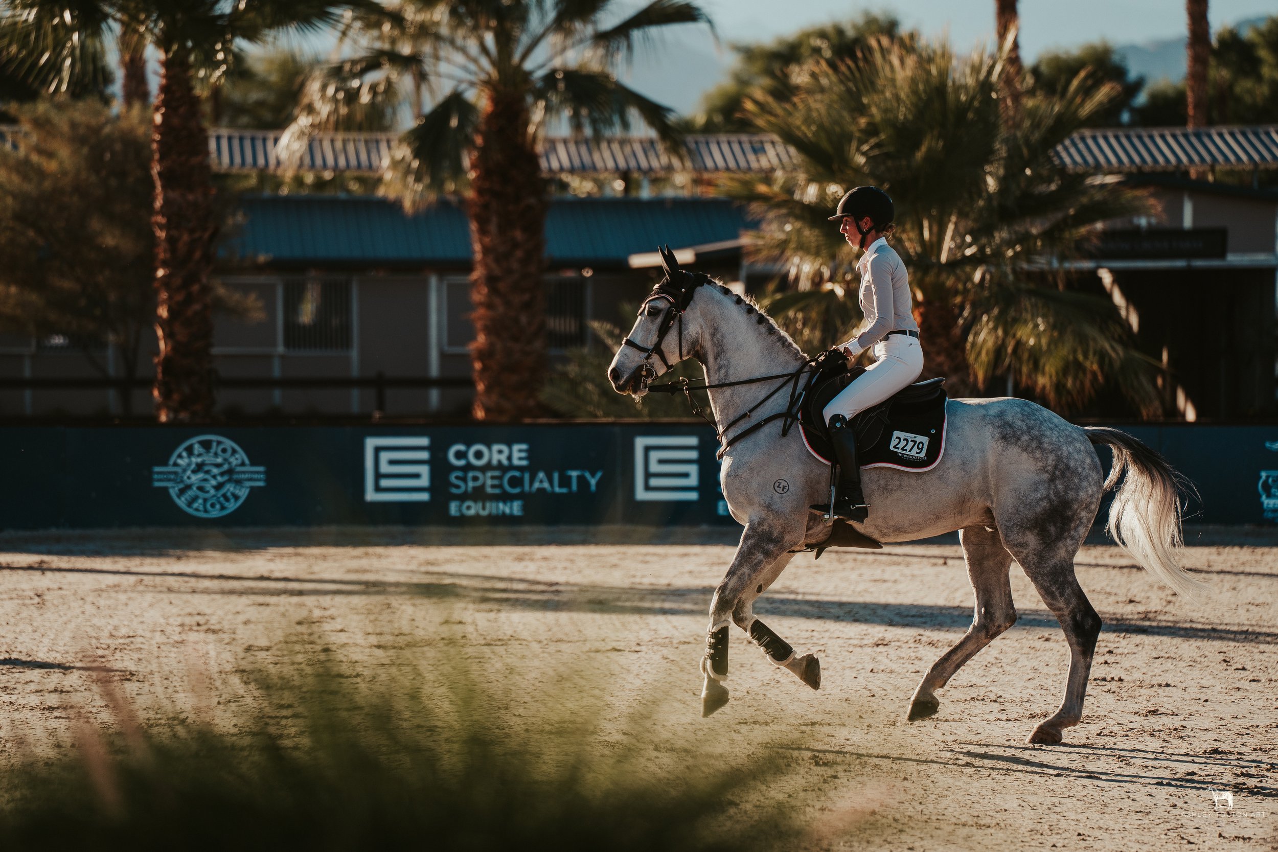 20251109-DSC04024 copy.jpg