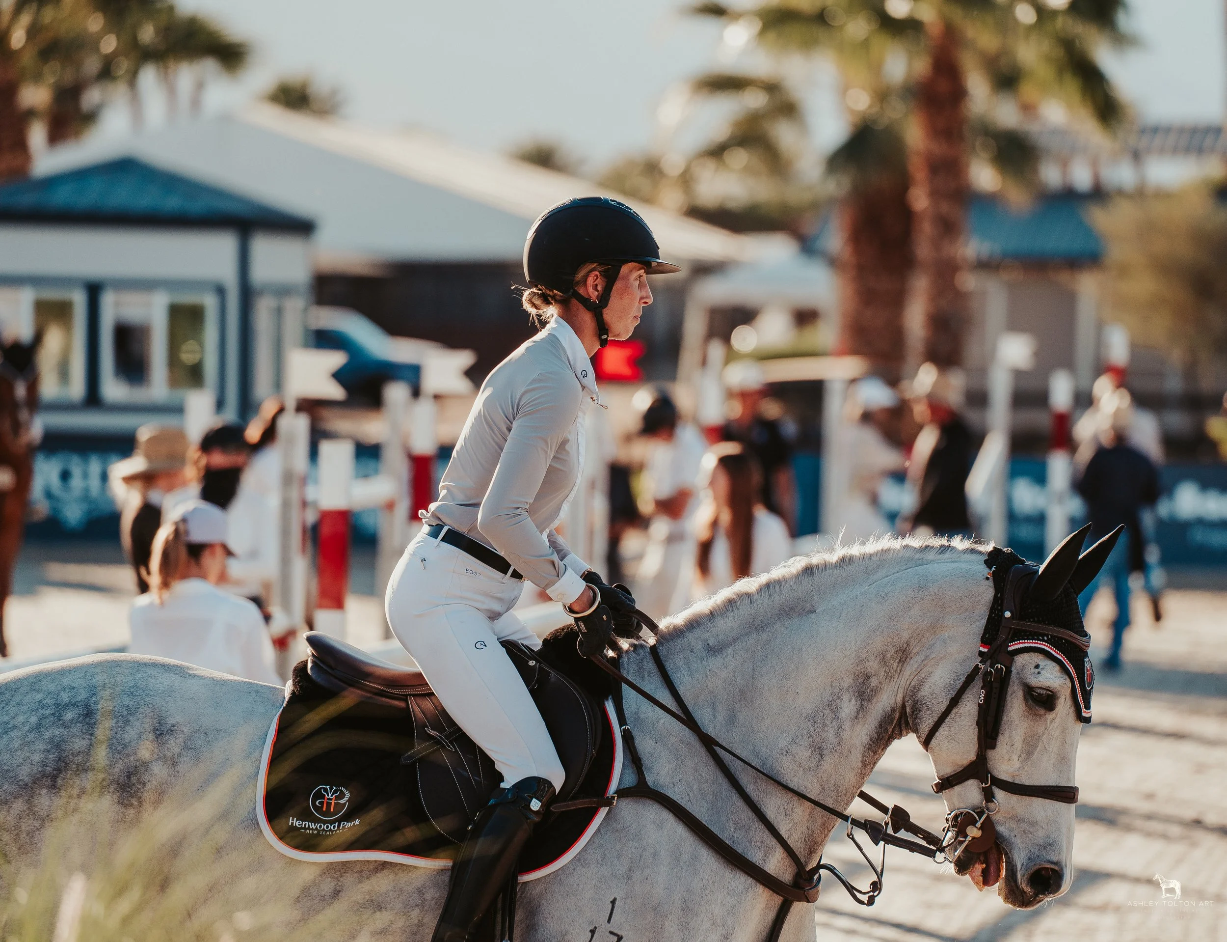 20251109-DSC04092 copy.jpg