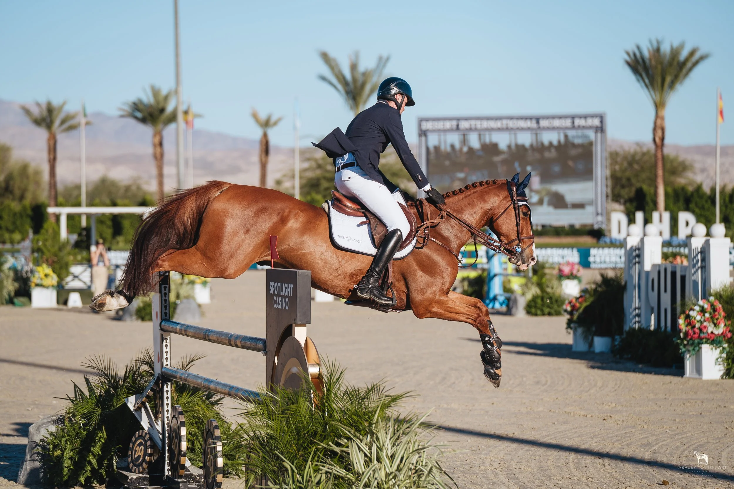 20251109-DSC03714 copy.jpg