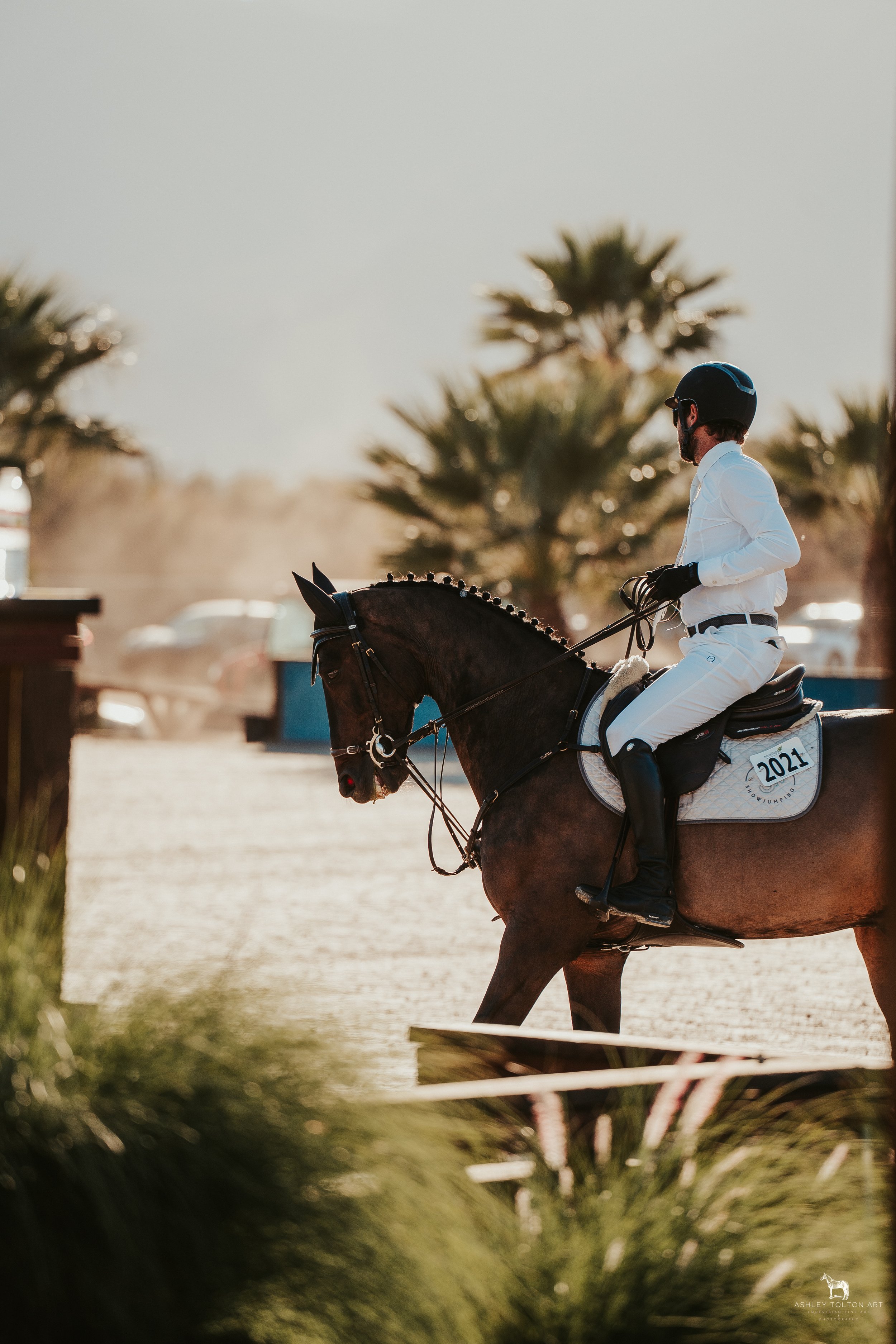 20251109-DSC03957 copy.jpg