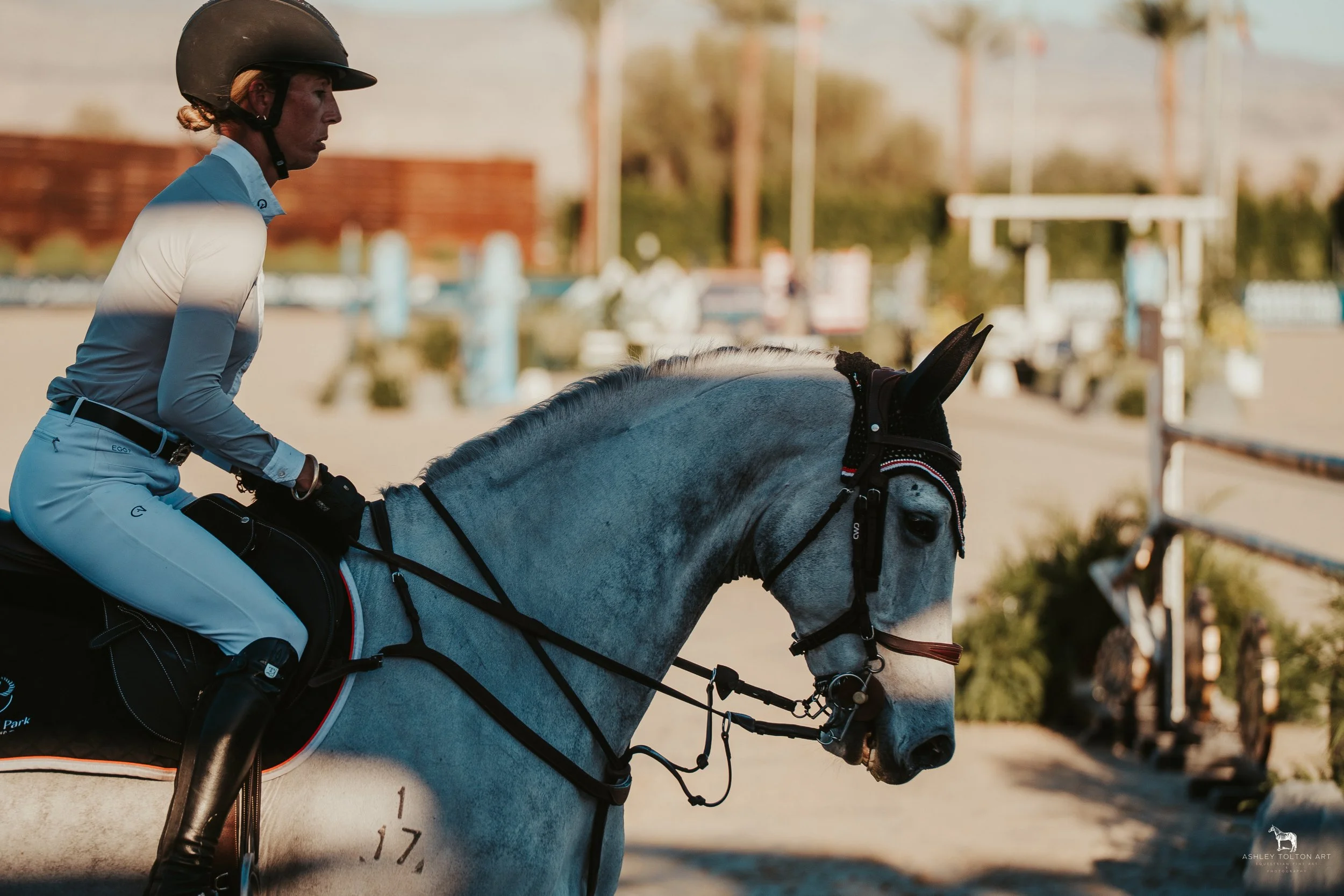 20251109-DSC04156 copy.jpg