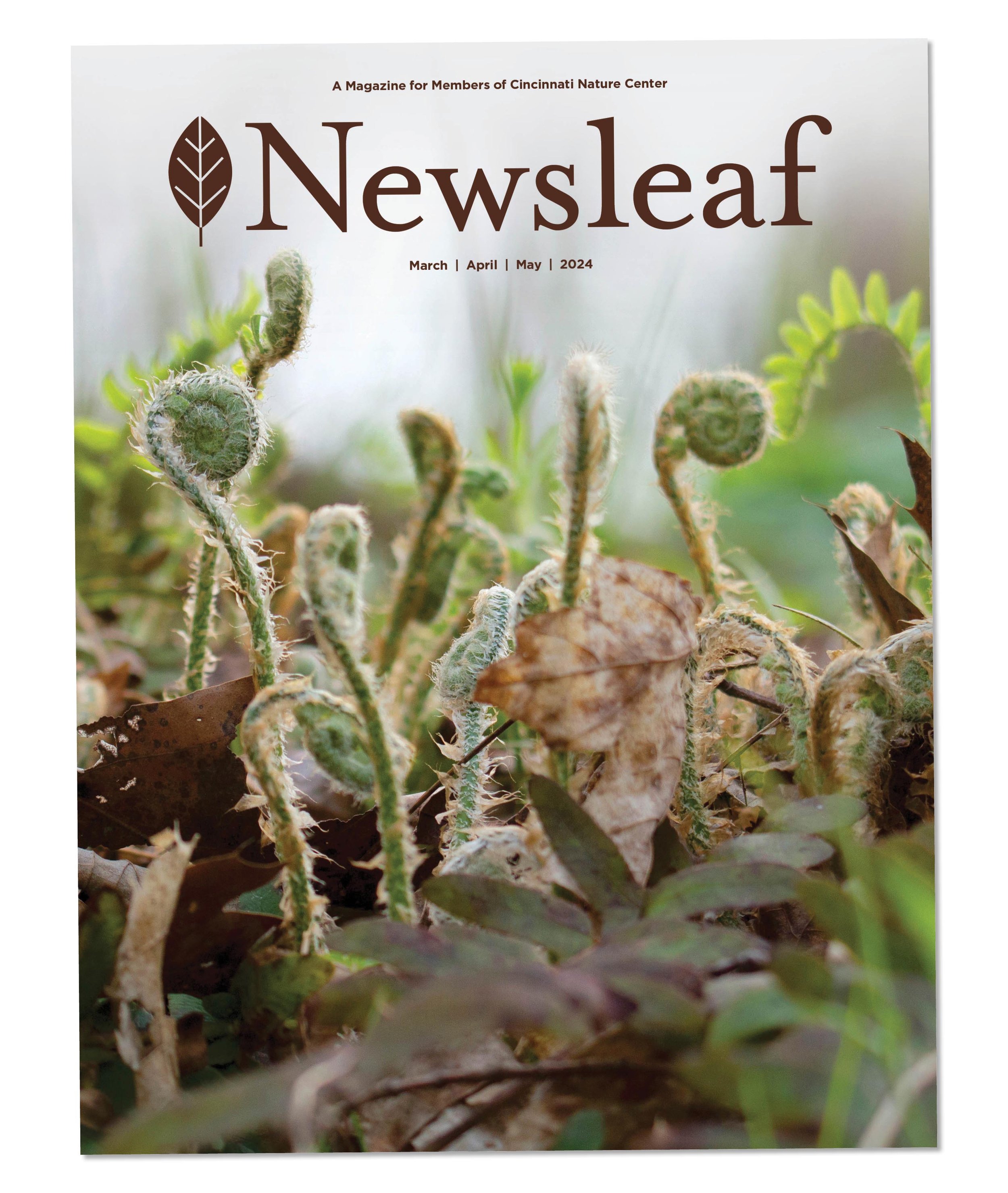 Newsleaf-Cover.jpg