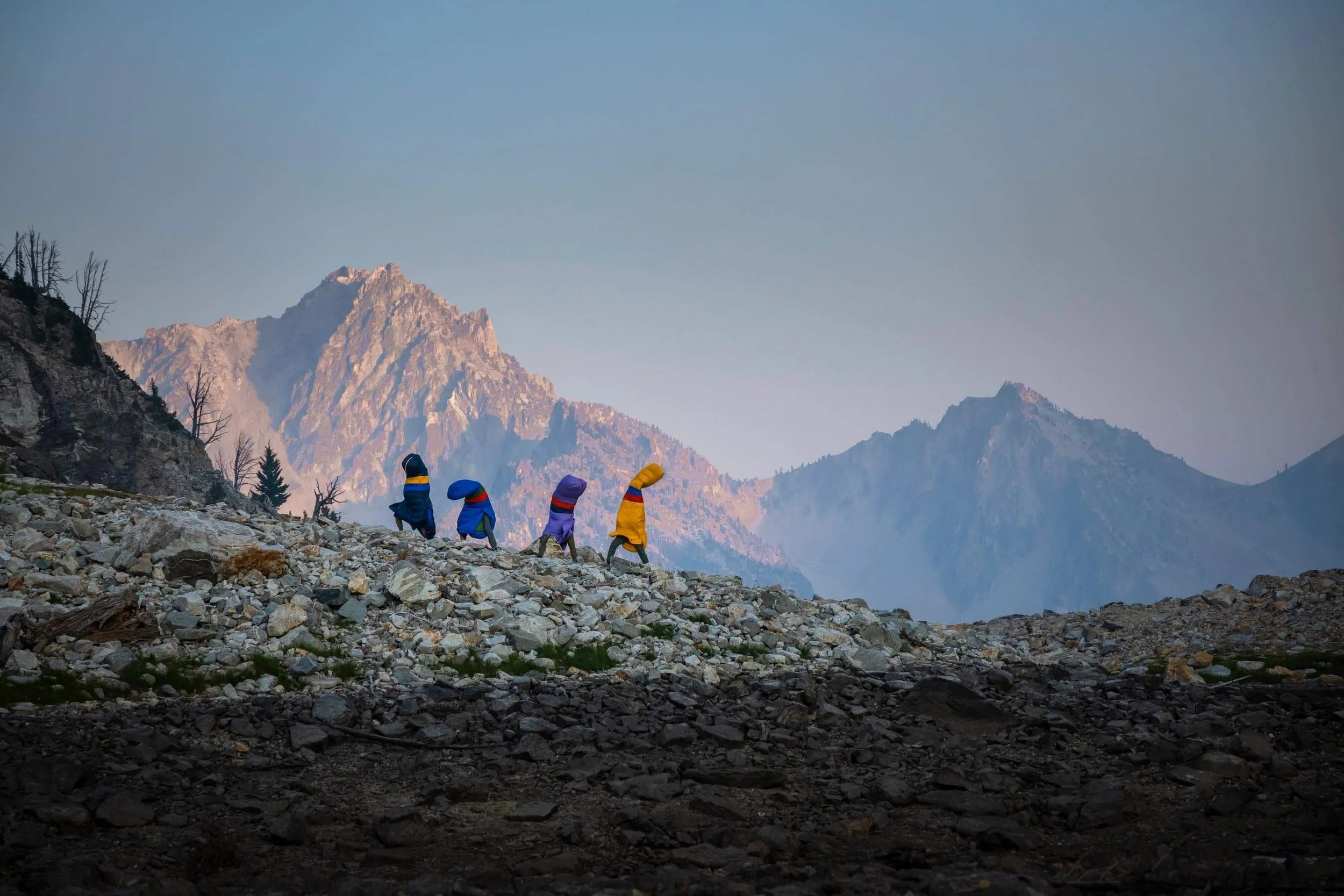 2021.08.23 Marmot.Sawtooth.DanKHaus.02819A.jpg