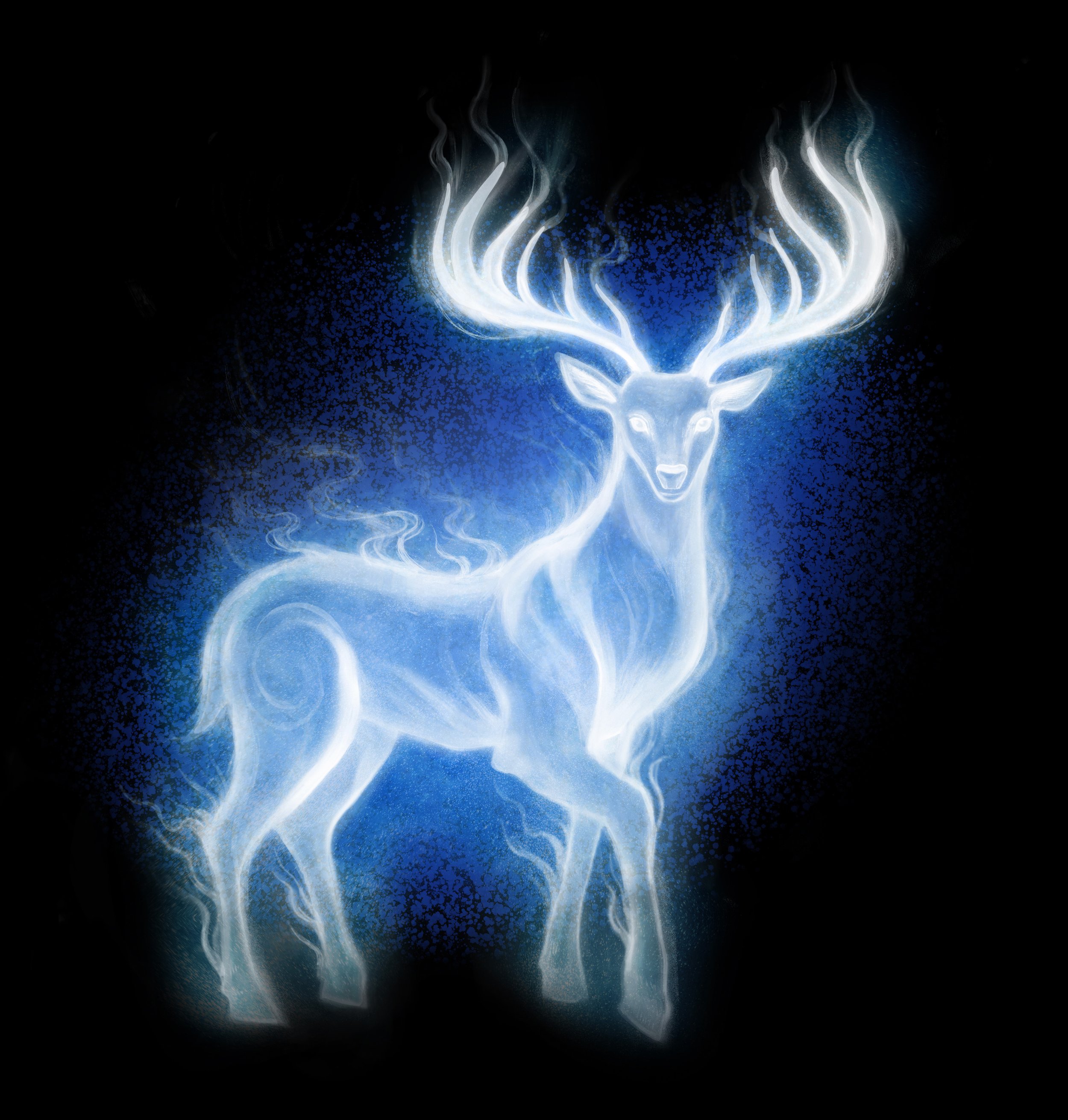  1 of 9 in a series of illustrations of patronus animals; Created for Harry Potter: The Exhibition. Featured globally in kiosk and interactive elements throughout the Exhibition in Philadelphia, New York City, Atlanta, Vienna, and Paris.  Agency: Neo