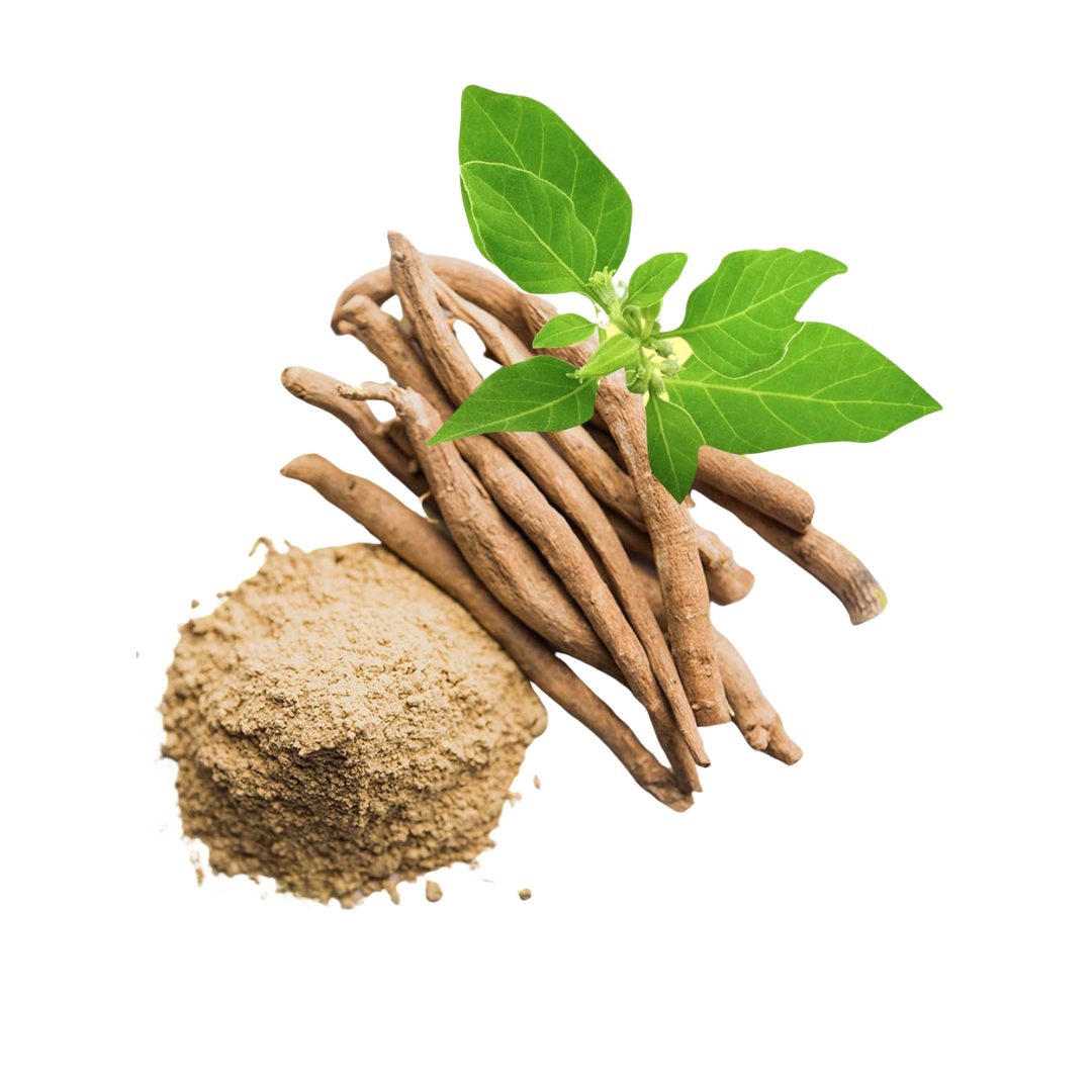 From the Apothecary: Ashwagandha