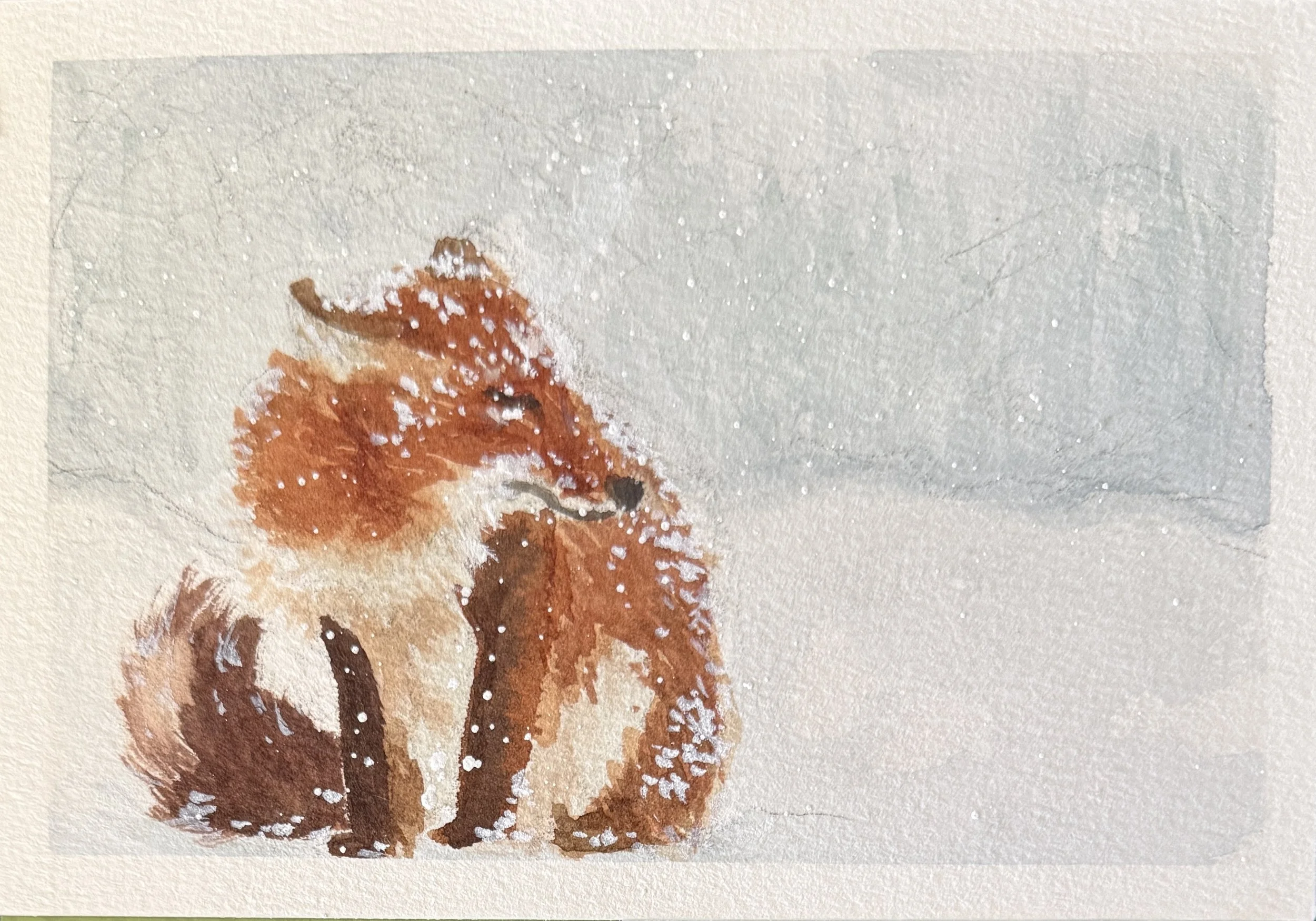 Fox in the snow1.jpg