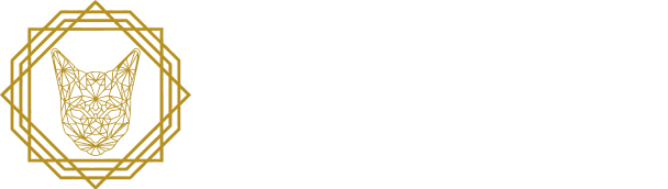 ASIL HAIR