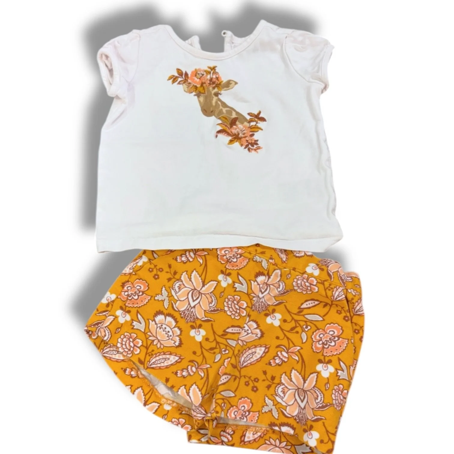 IMG_9891-Photoroom 2.JPG