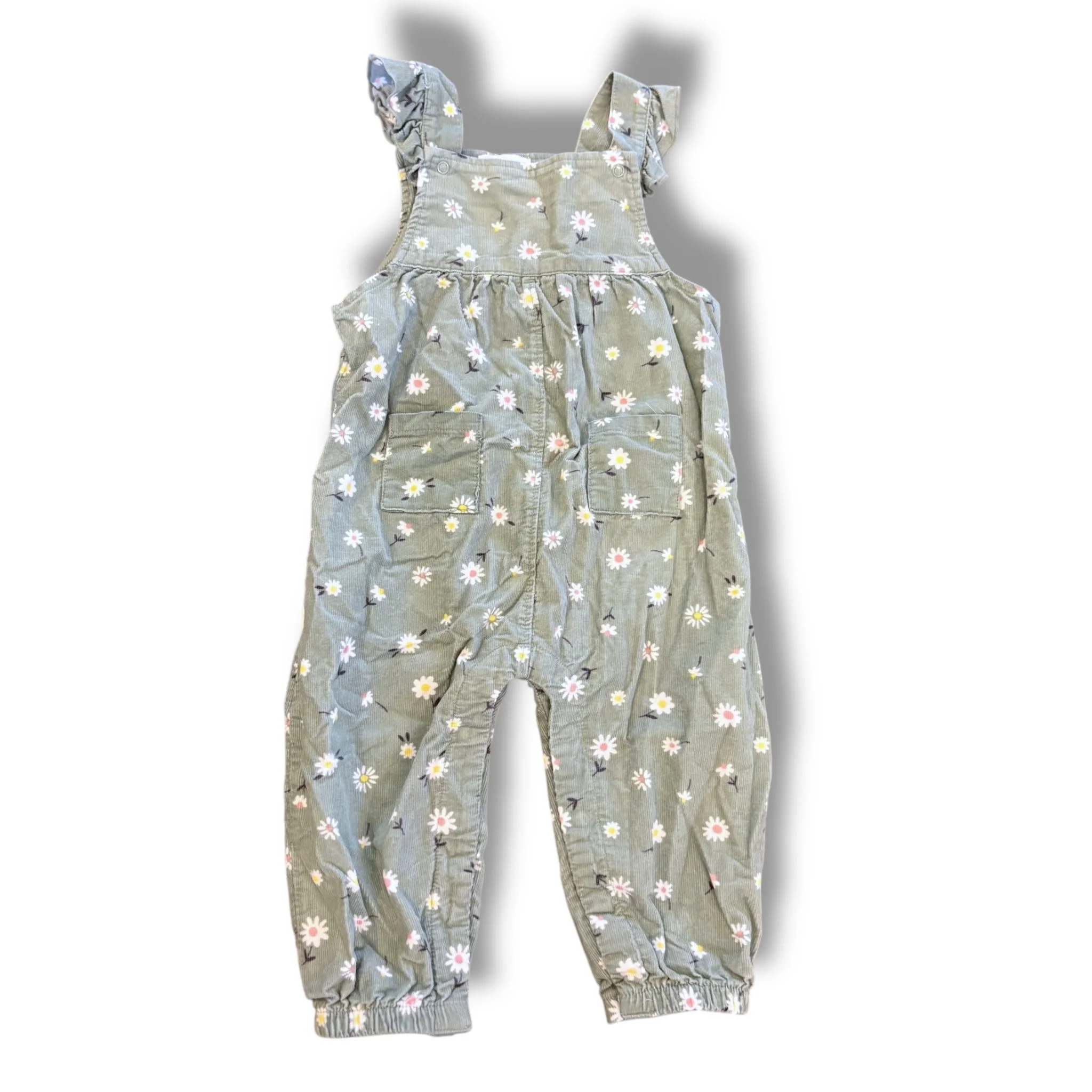 Size 12-18 Angel dear sage corduroy overalls, white flowers