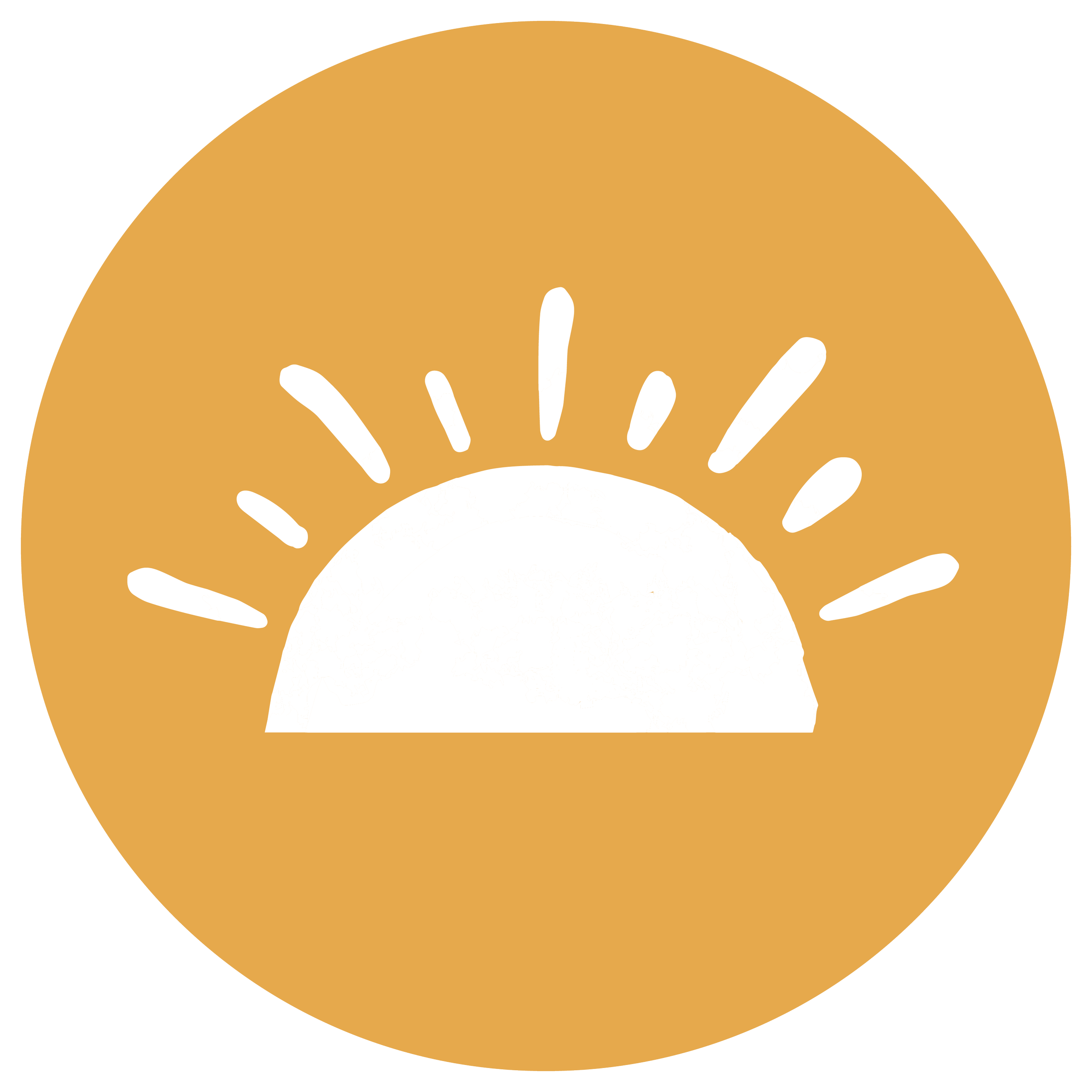 web-large_Profile picture.png