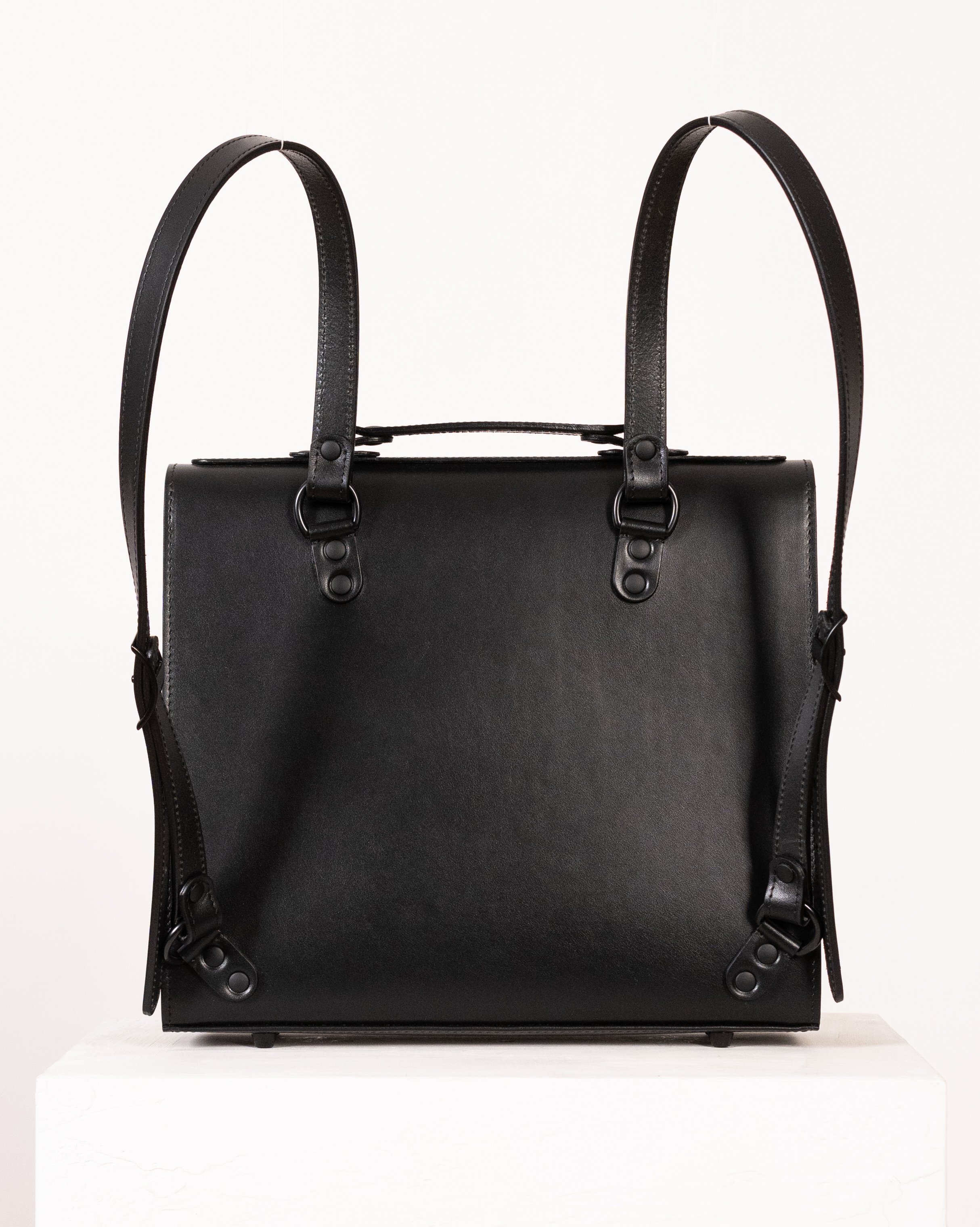 black back m-5.jpg