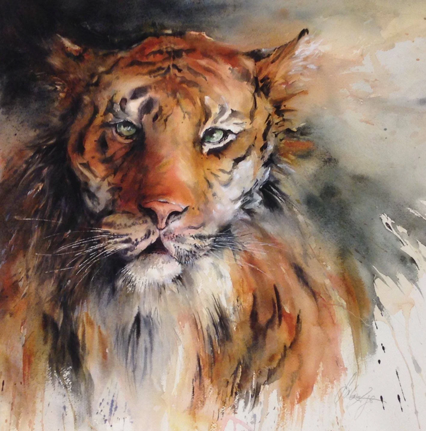 Tiger, 2017, Aquarell, 47 cm*47cm
