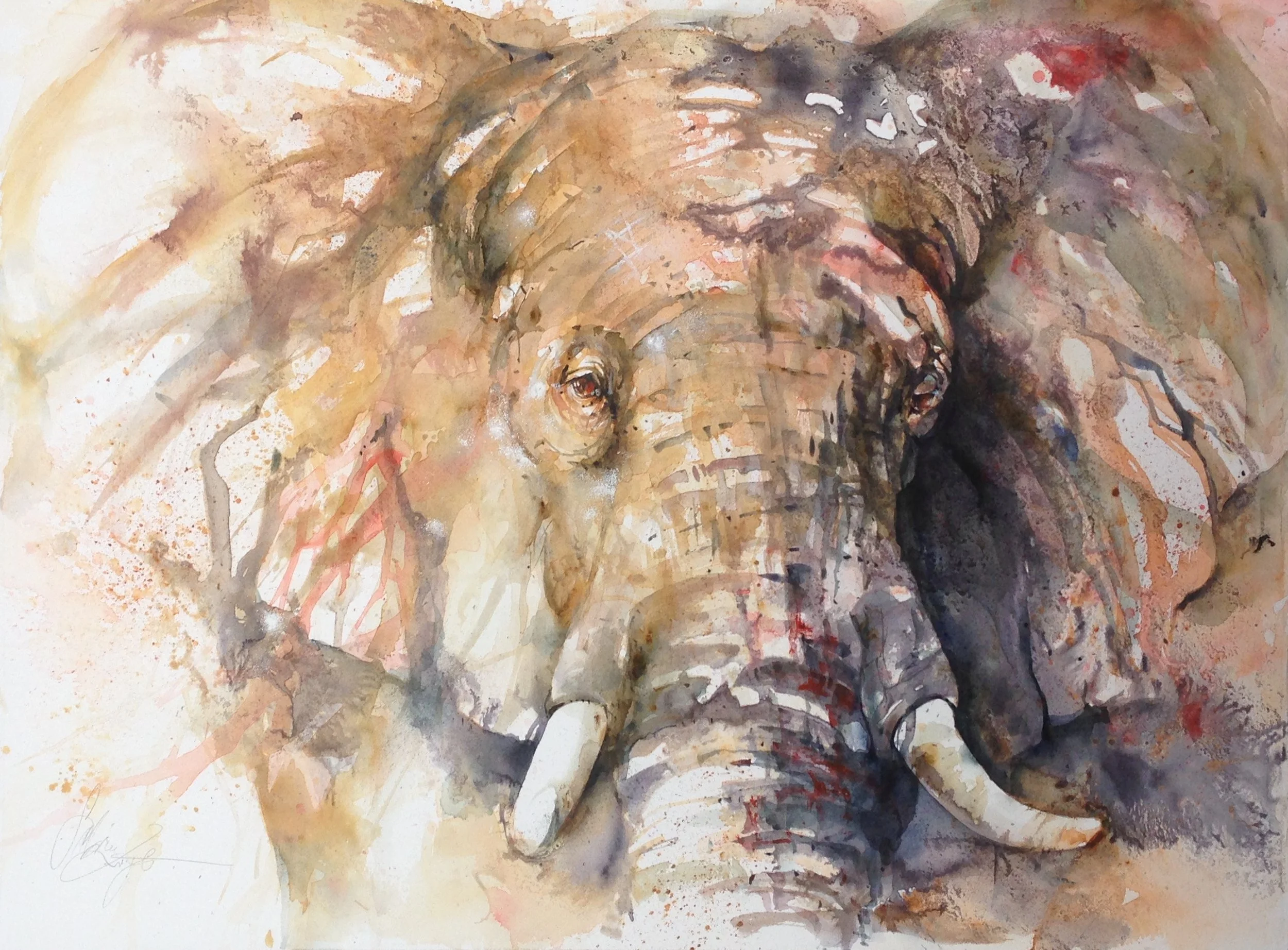 Elephant, 2015, Aquarell, 56 cm'76 cm