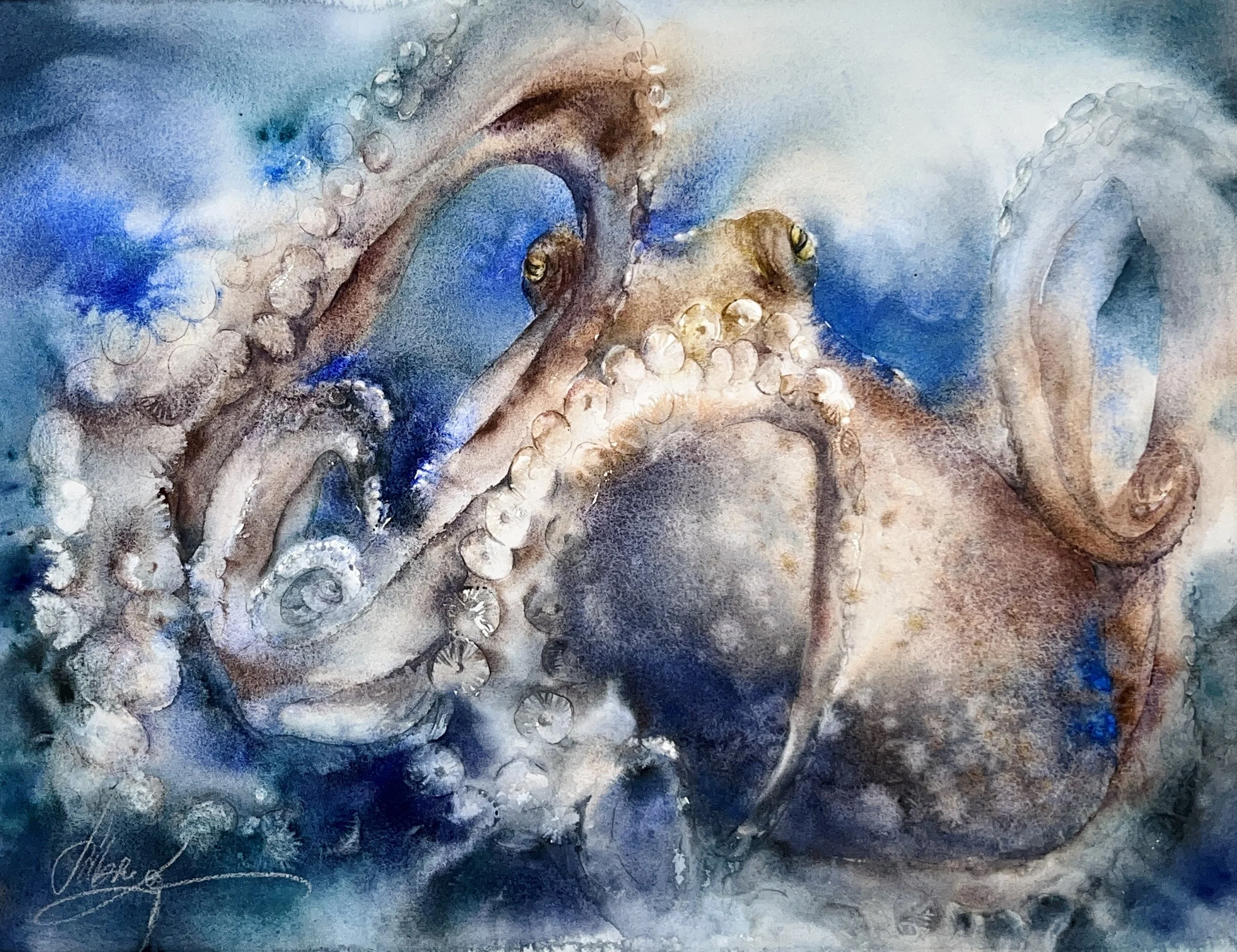 Octopus #5, 2023, Aquarell, 45 cm *60 cm