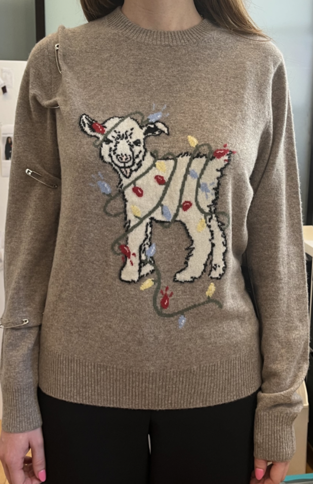 Screen Shot 2024-06-13 at 11.00.28 AM.png