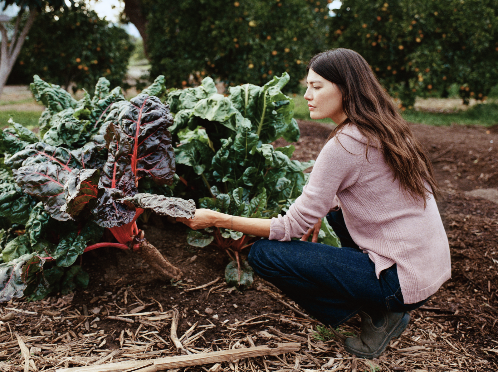 Screenshot 2026-03-05 at 9.41.51 PM.png