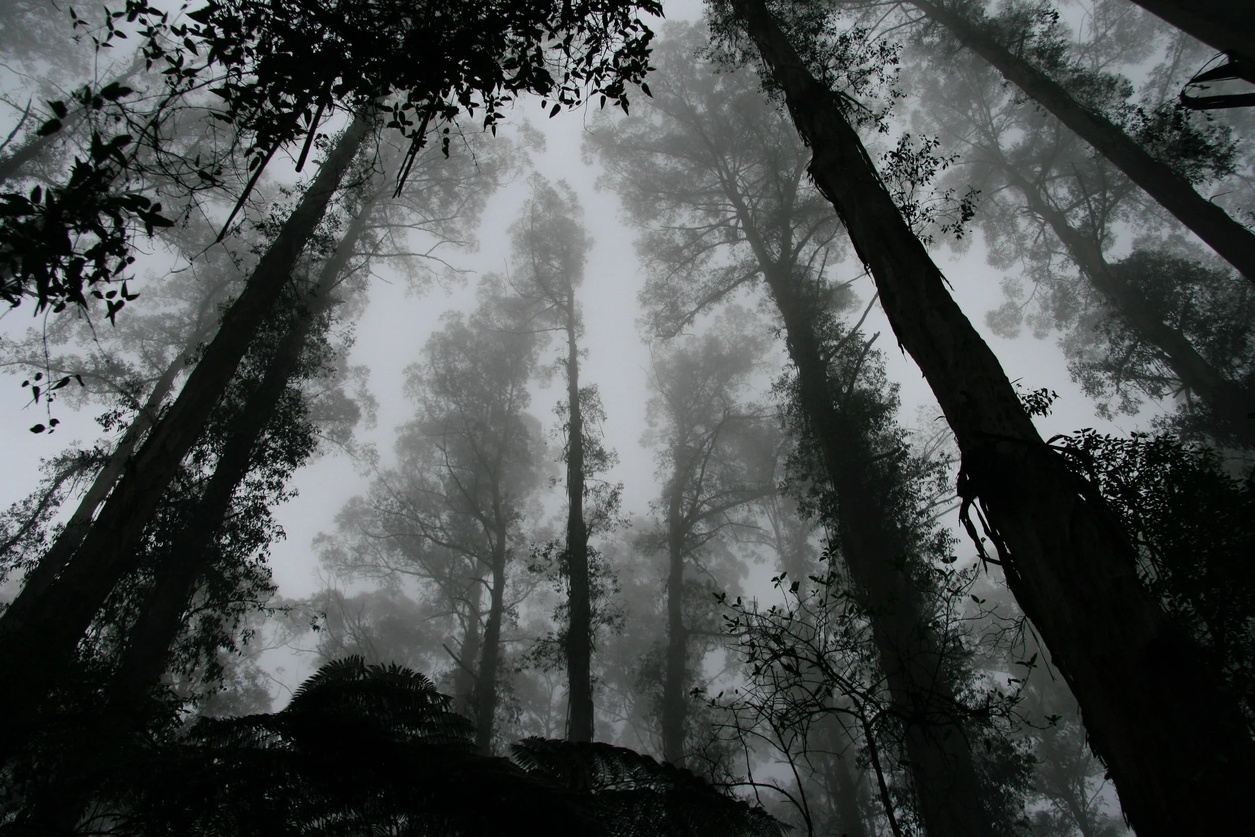Writing Prompt 6