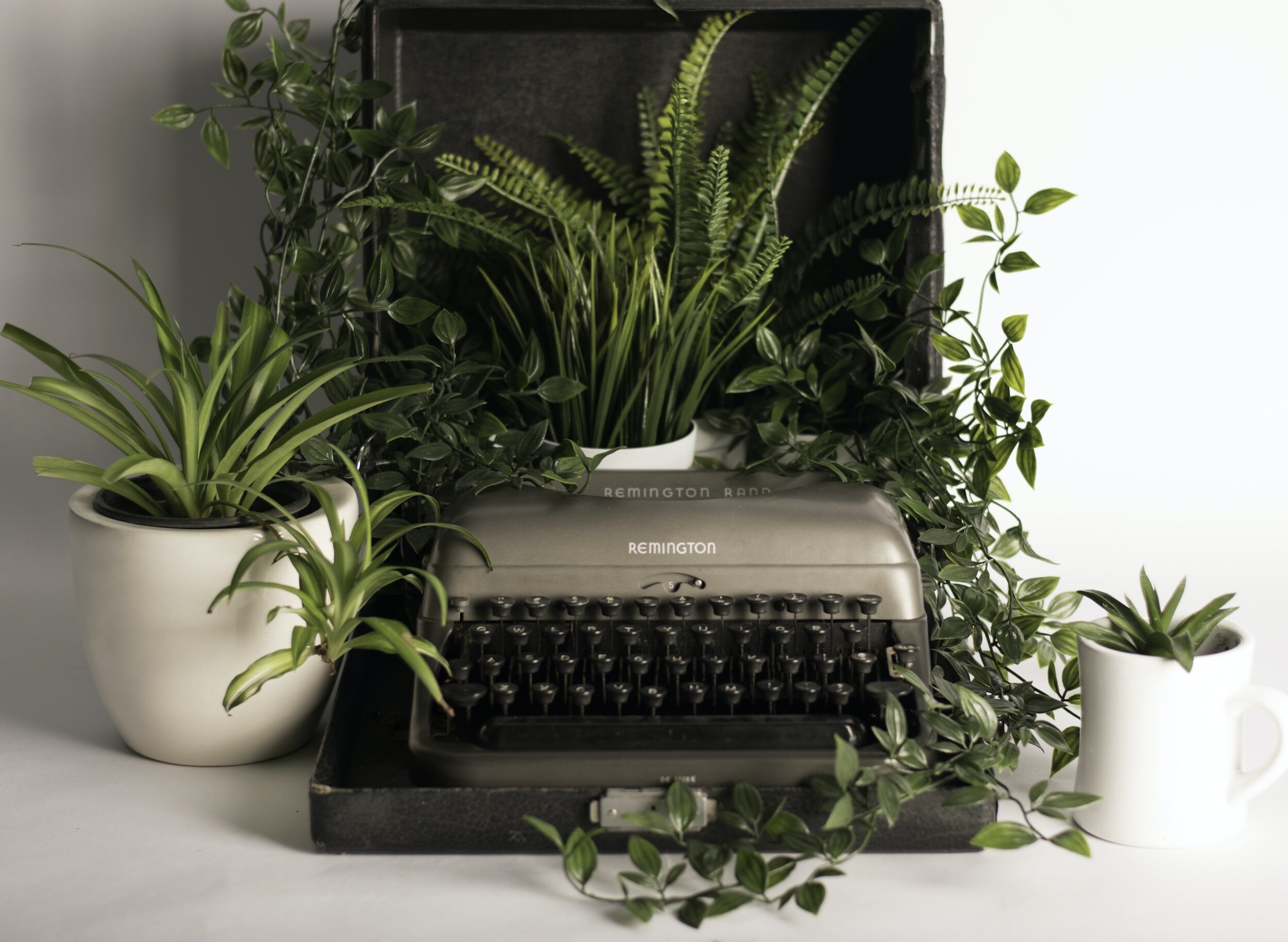 Vintage typewriter surrounded by potted green plants and a black box with similar plants.