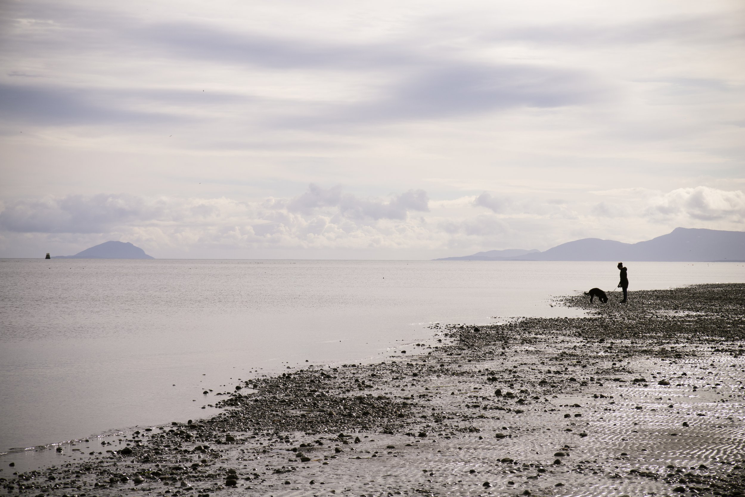 Centennial Beach, Tsawwassen, BC (2021)