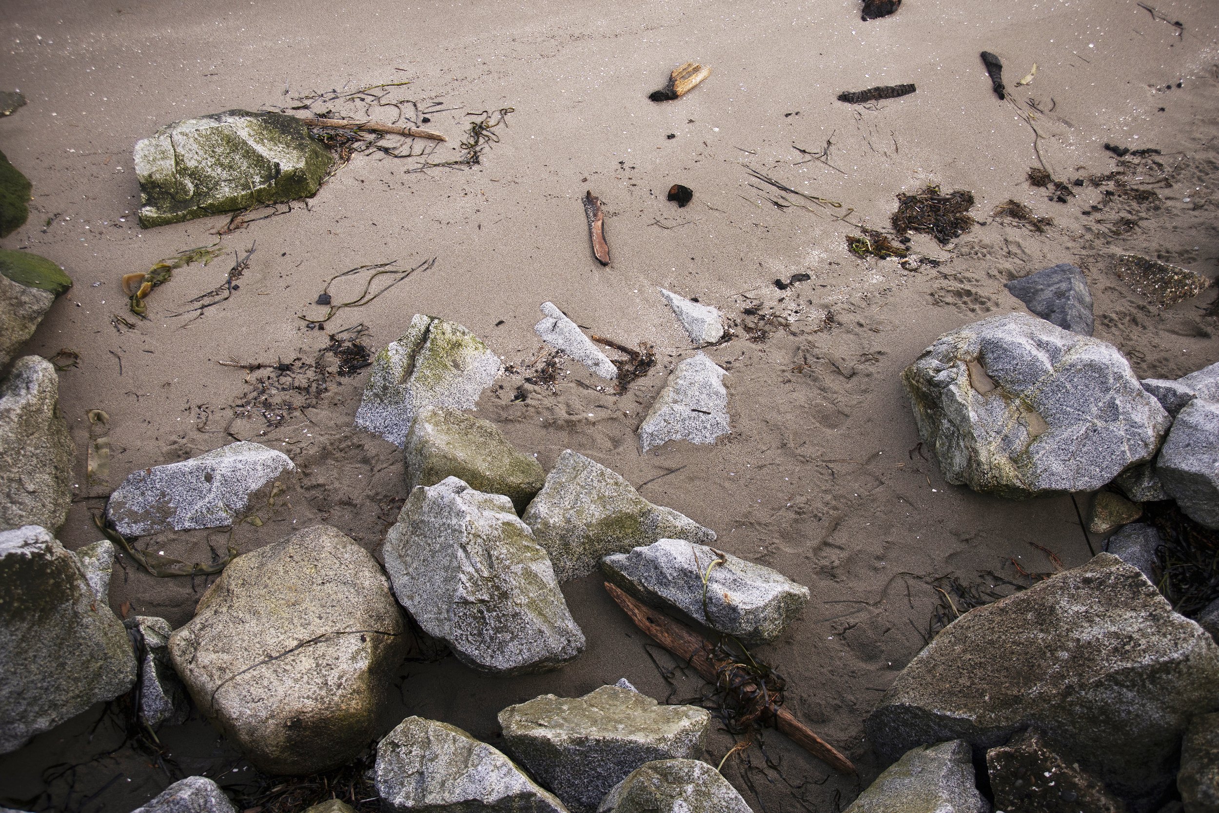 Crescent Beach, Surrey, BC (2022)