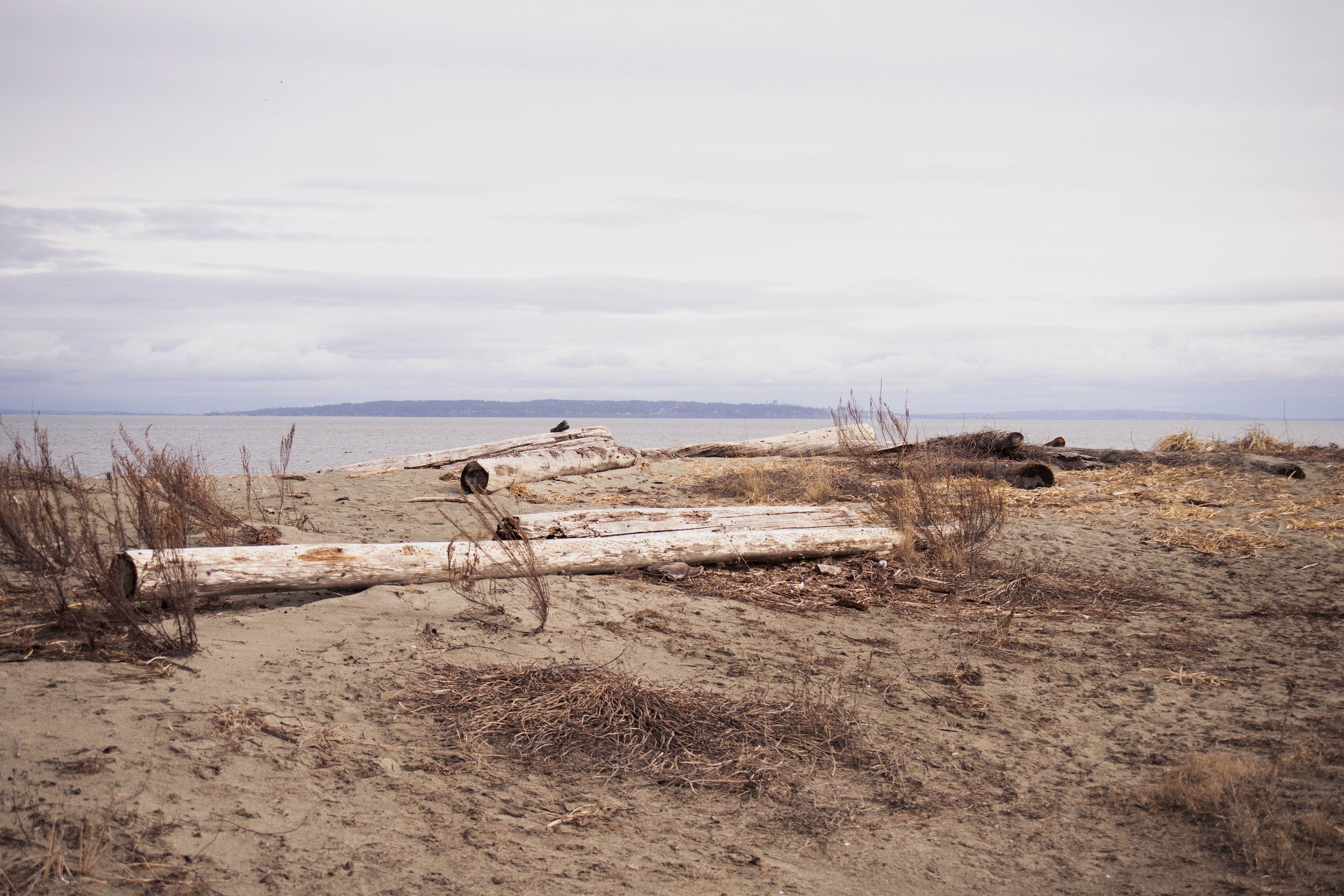 Centennial Beach, Tsawwassen, BC (2021)