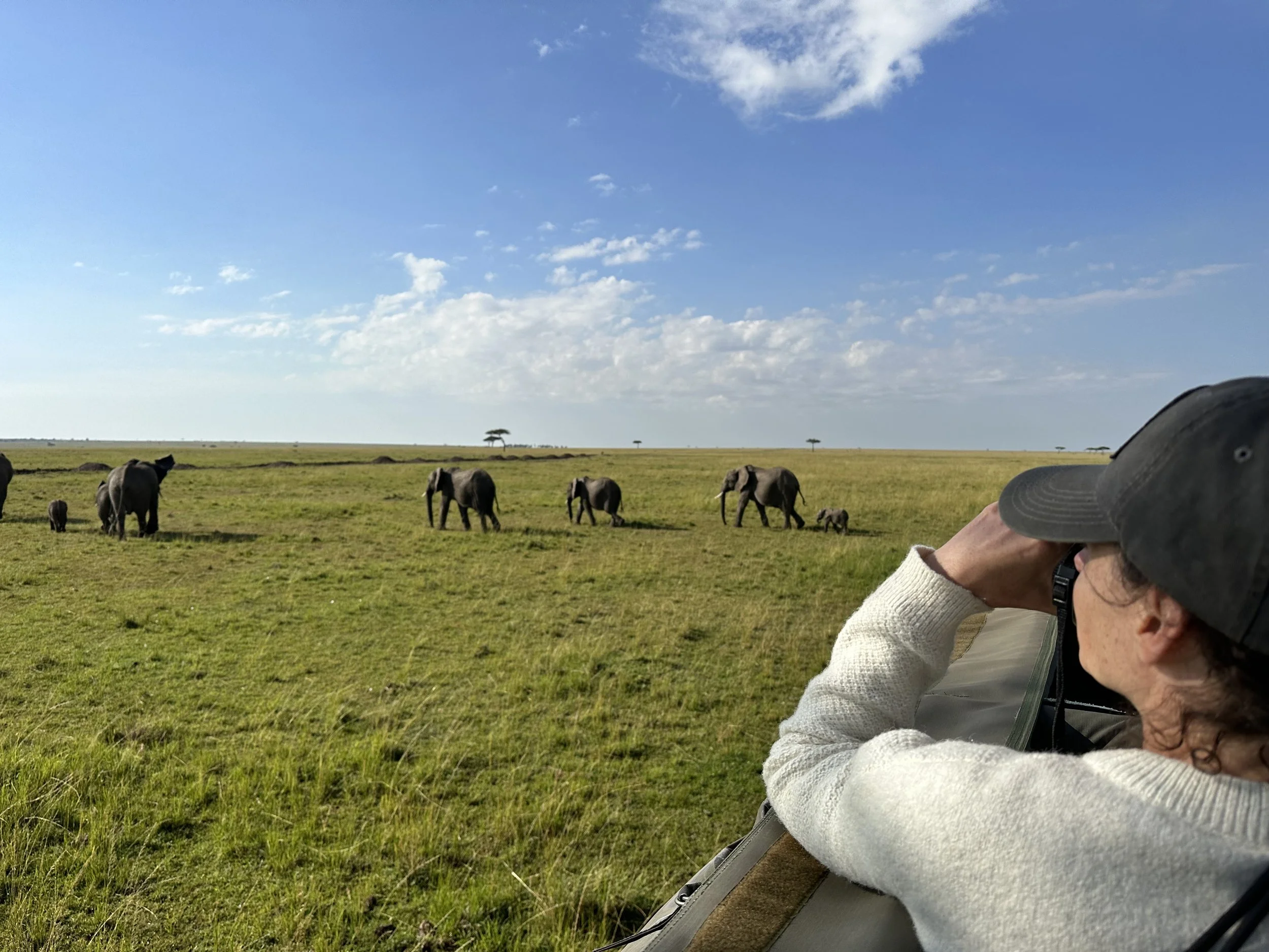 Beginner Photographers: Top 10 Tips for Wildlife Photography