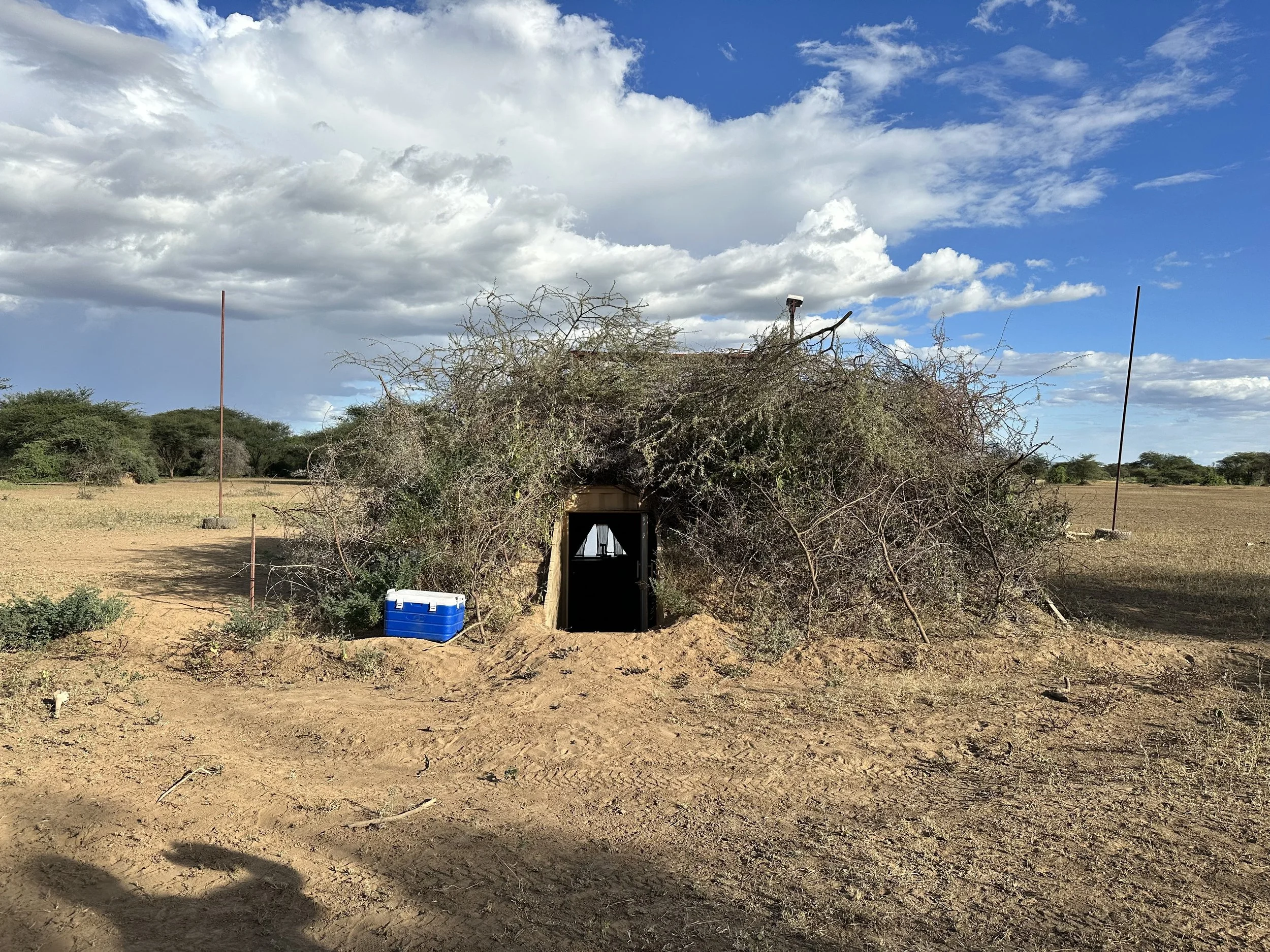 Kenya’s Top 8 Lodges with Photography Hides