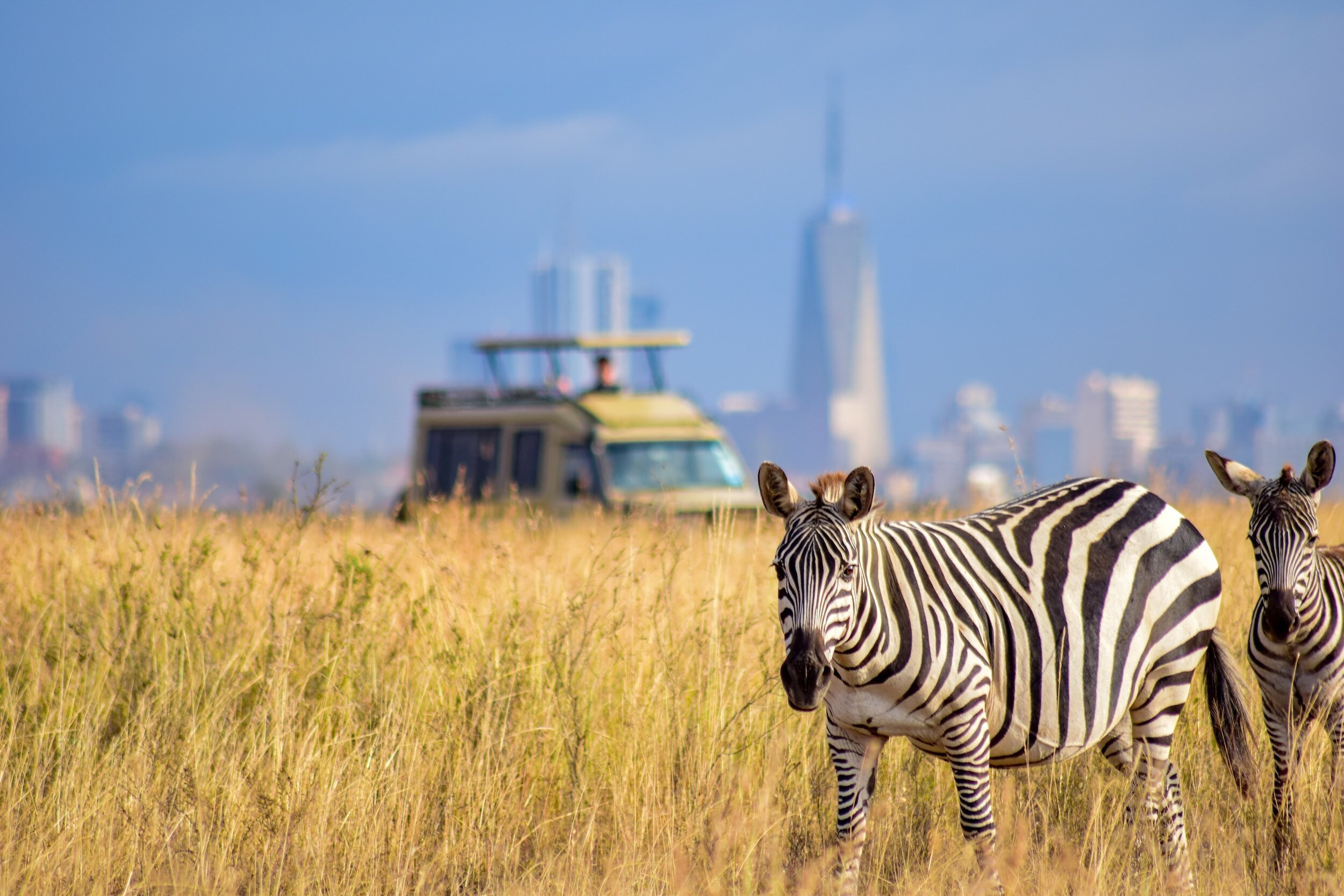 Ultimate Nairobi Guide: Top 5 Must-Visit Attractions in Kenya’s Capital City.