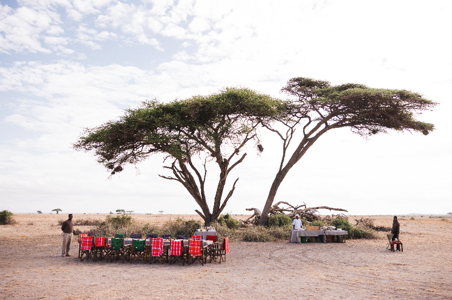 Spotlight on Elewana Tortilis, Amboseli National Park 