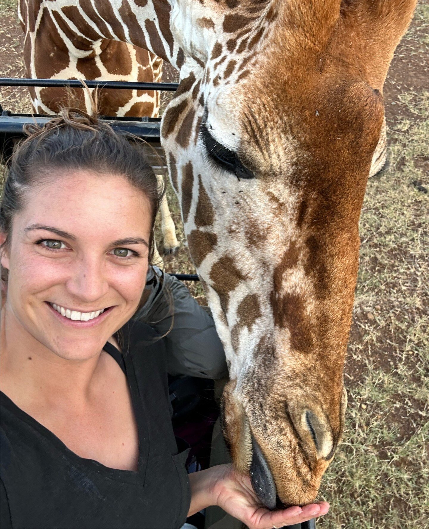Tala the giraffe at Mugie Sanctuary 🦒😍⁠
⁠
Tala was rescued by herders when she was just a few days old. After being raised by humans, she was released, however, being a little too familiar with people, she was causing some havoc at local markets. ⁠