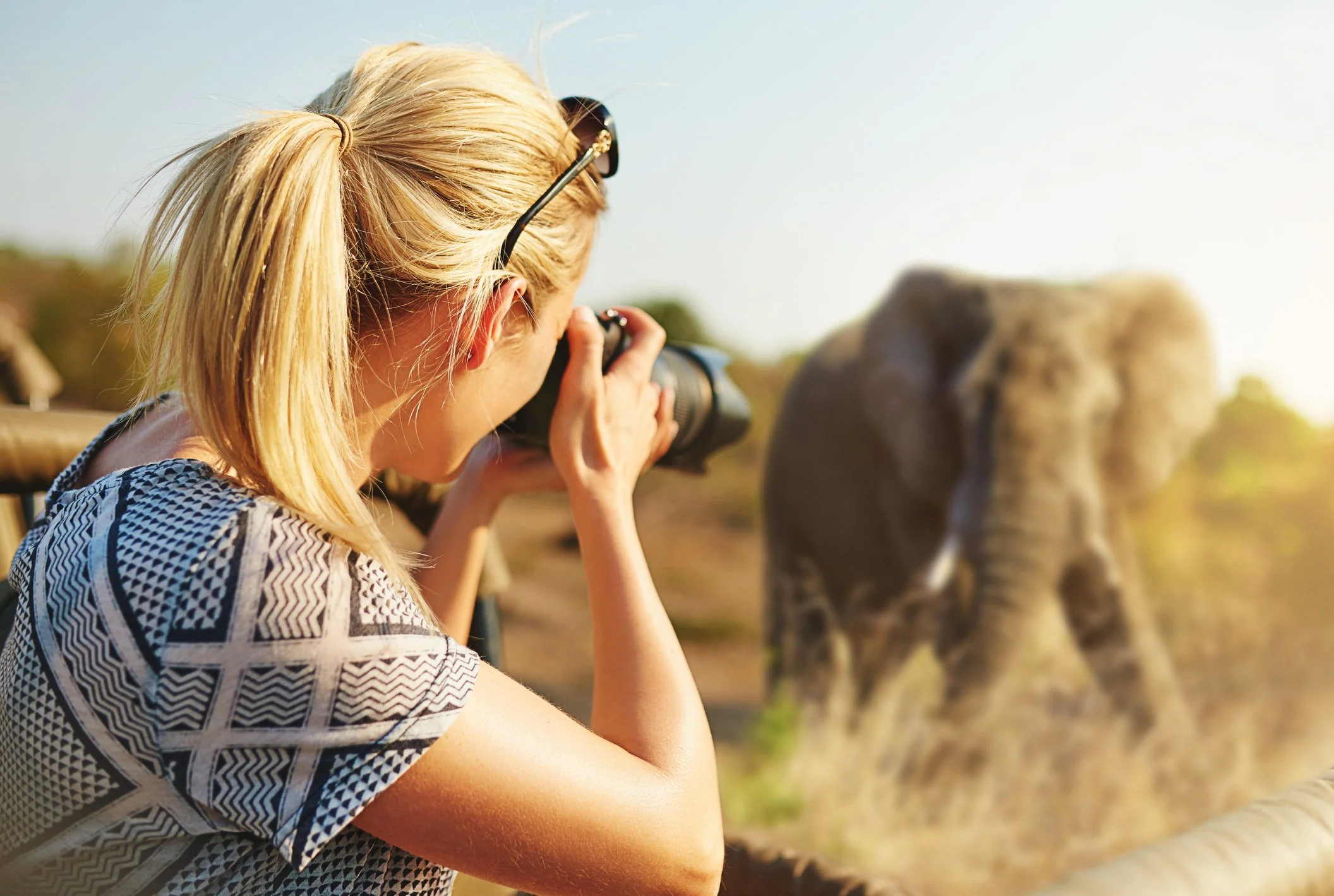 Essential Photographic Wildlife Safari FAQ’s: All you Need to Know
