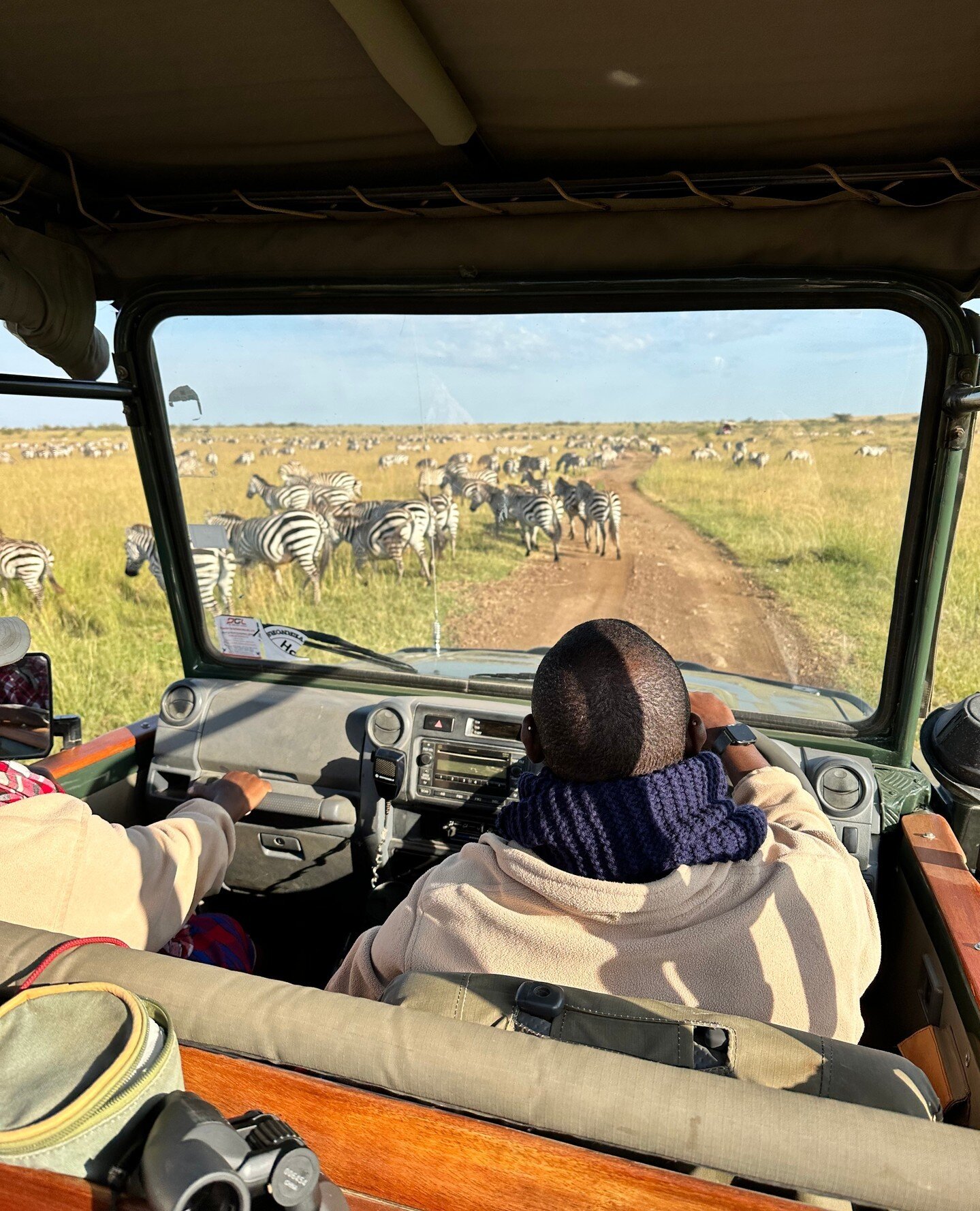 Driving through herds of zebra in the Mara North Conservancy 🦓⁠
⁠
Big shout out to Stanley from Mara Offbeat, one of the best guides i've ever had! And Offbeat camp is beautiful too. Highly recommended. ⁠
⁠