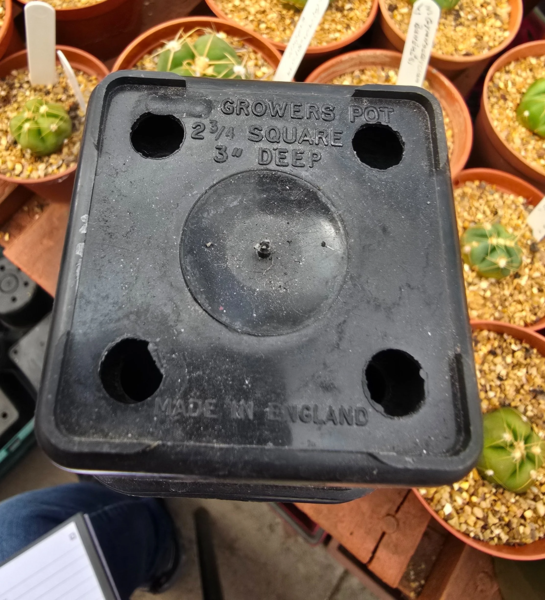 USED 2 3/4inch Square Black Deep BEF Pot