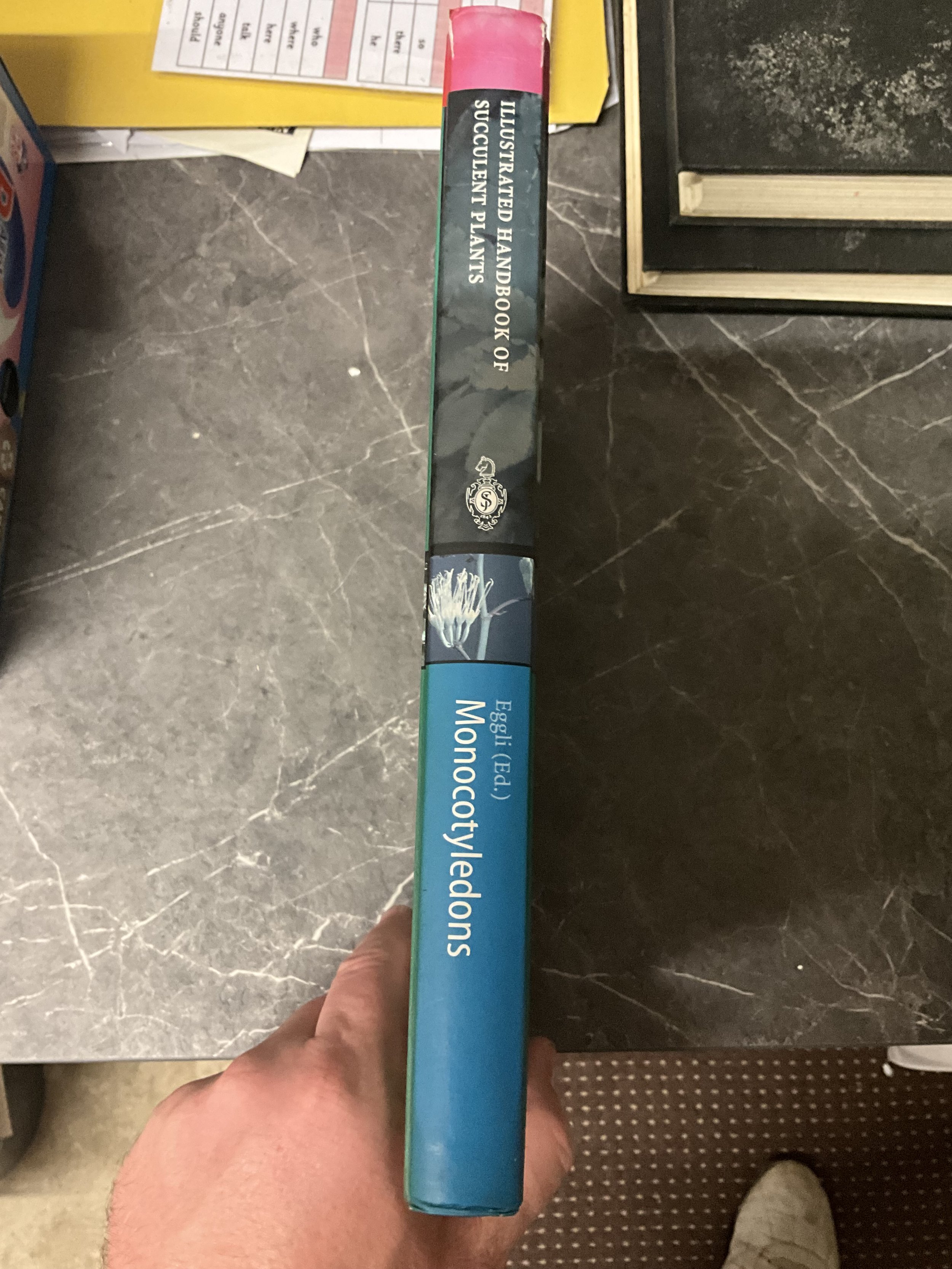 IMG_2142.jpeg