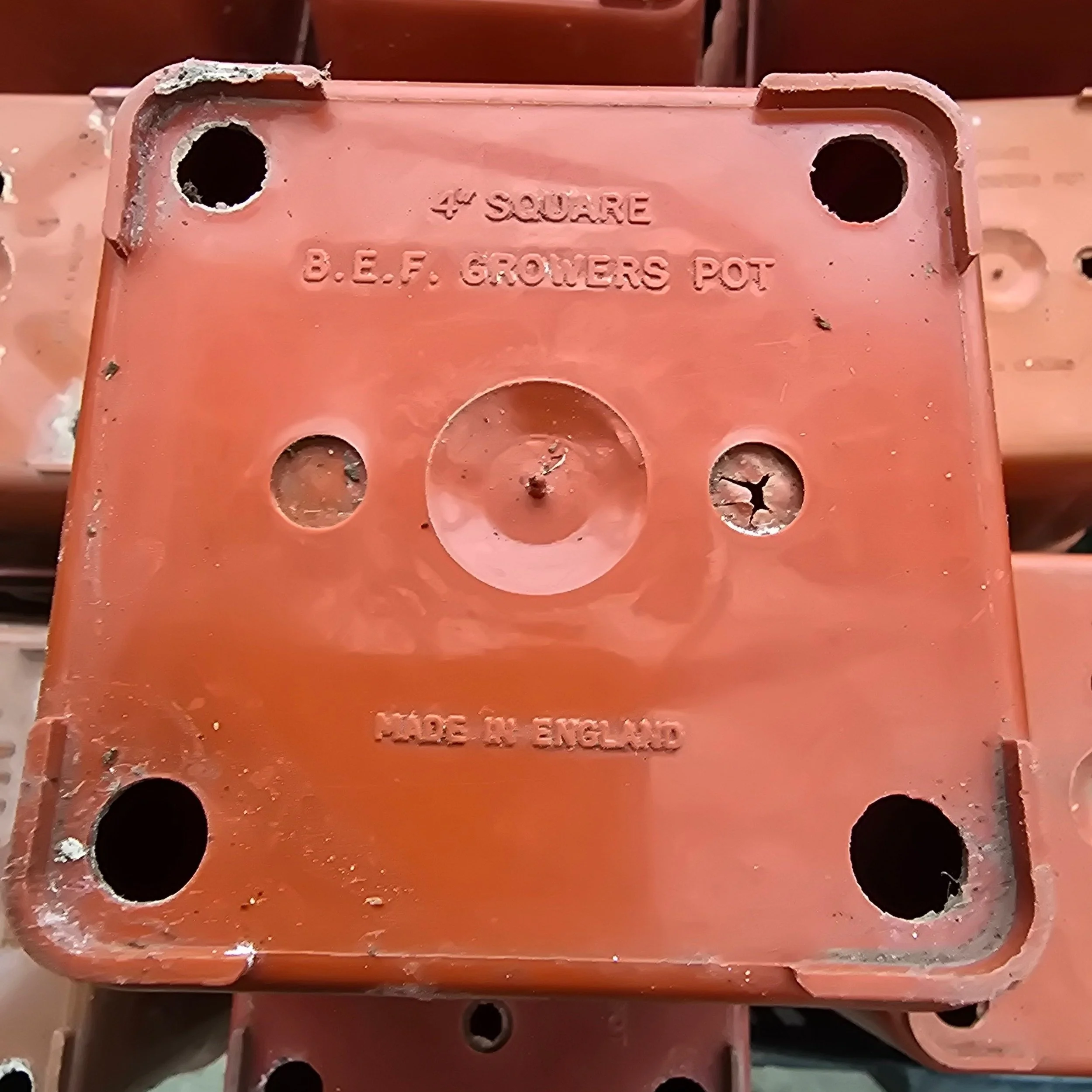 4" Used Square Terracotta BEF pots (X210) Used