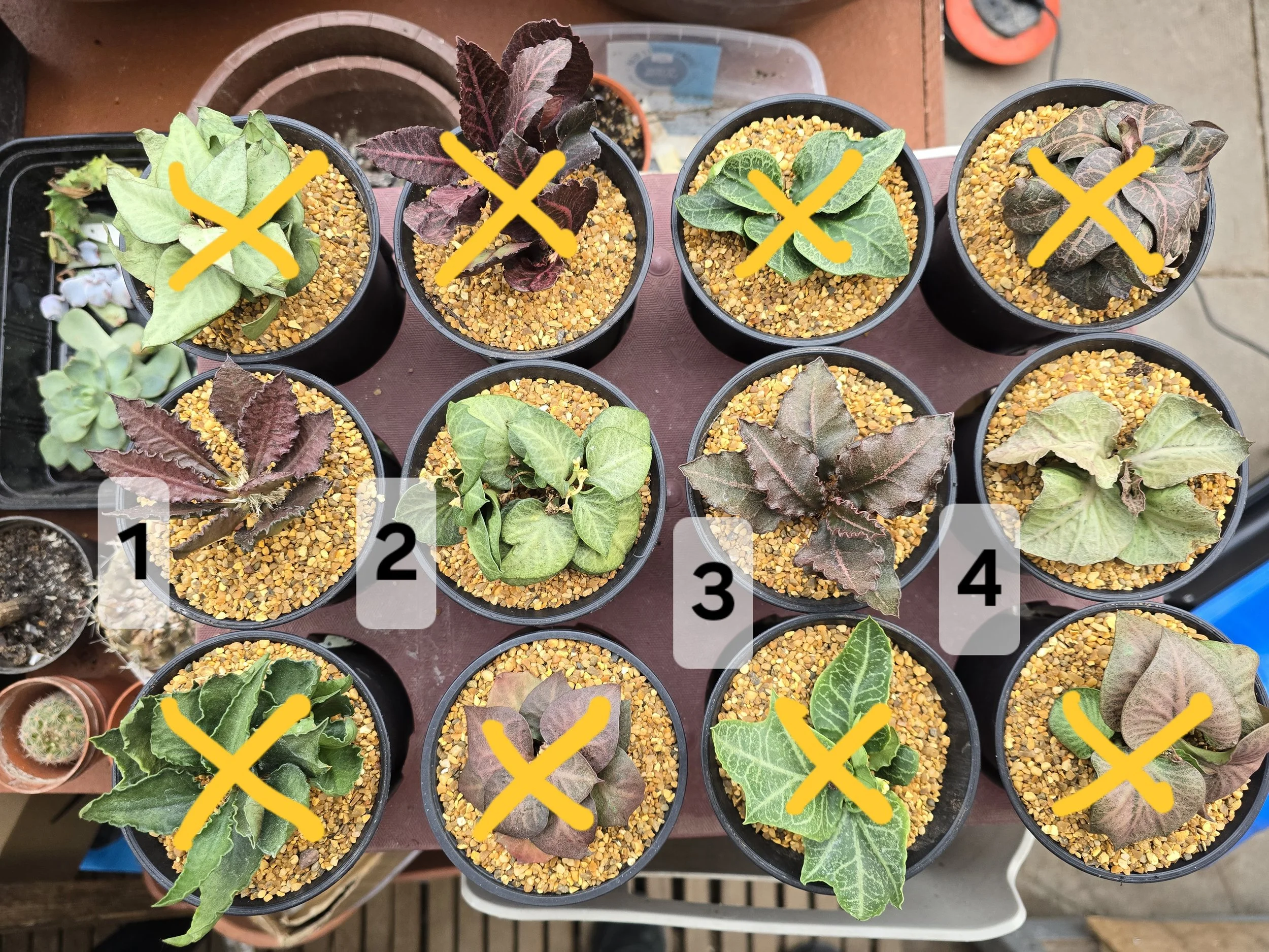 20260103_131037 (1).jpg