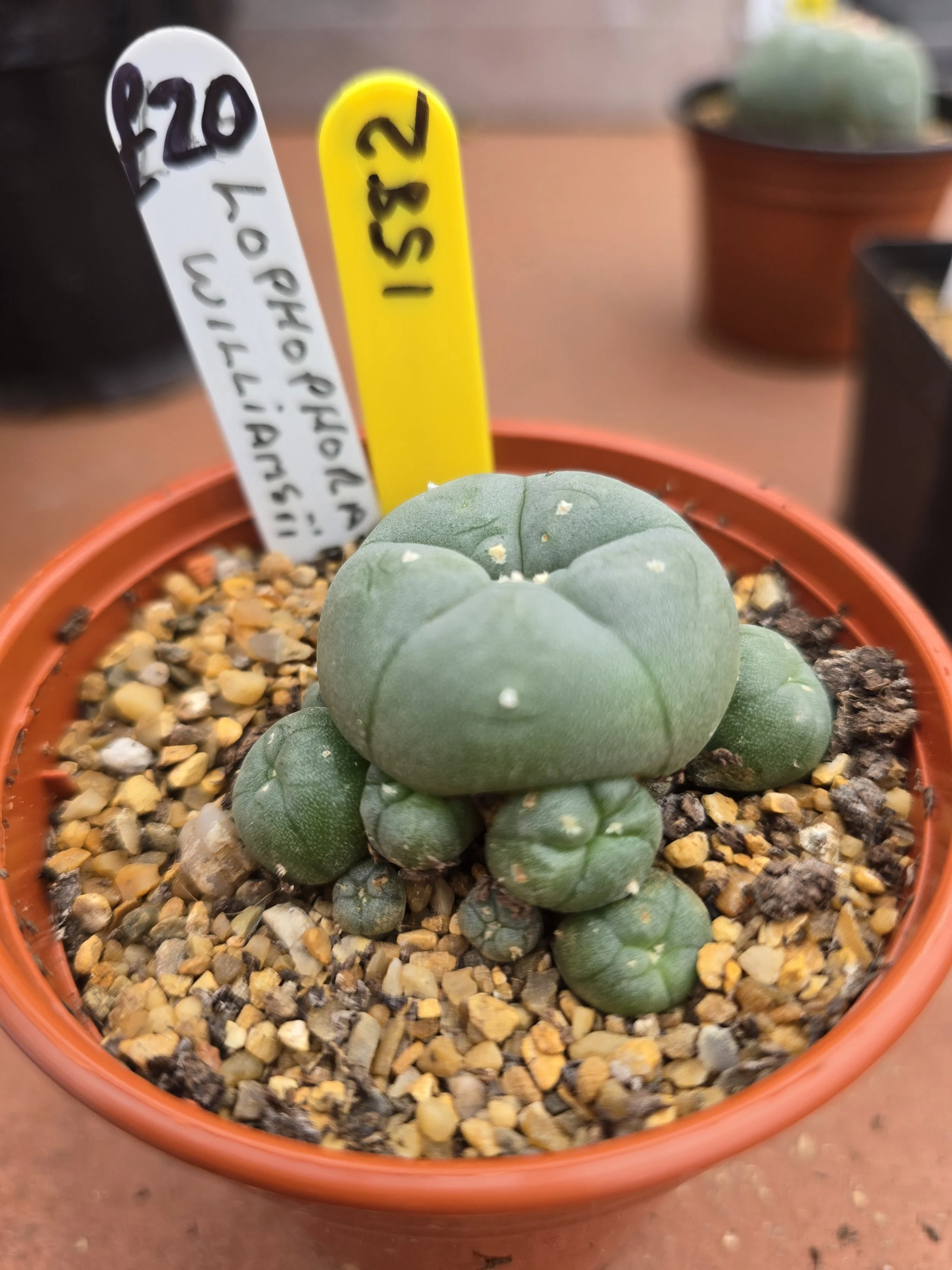 20260718_091601.jpg