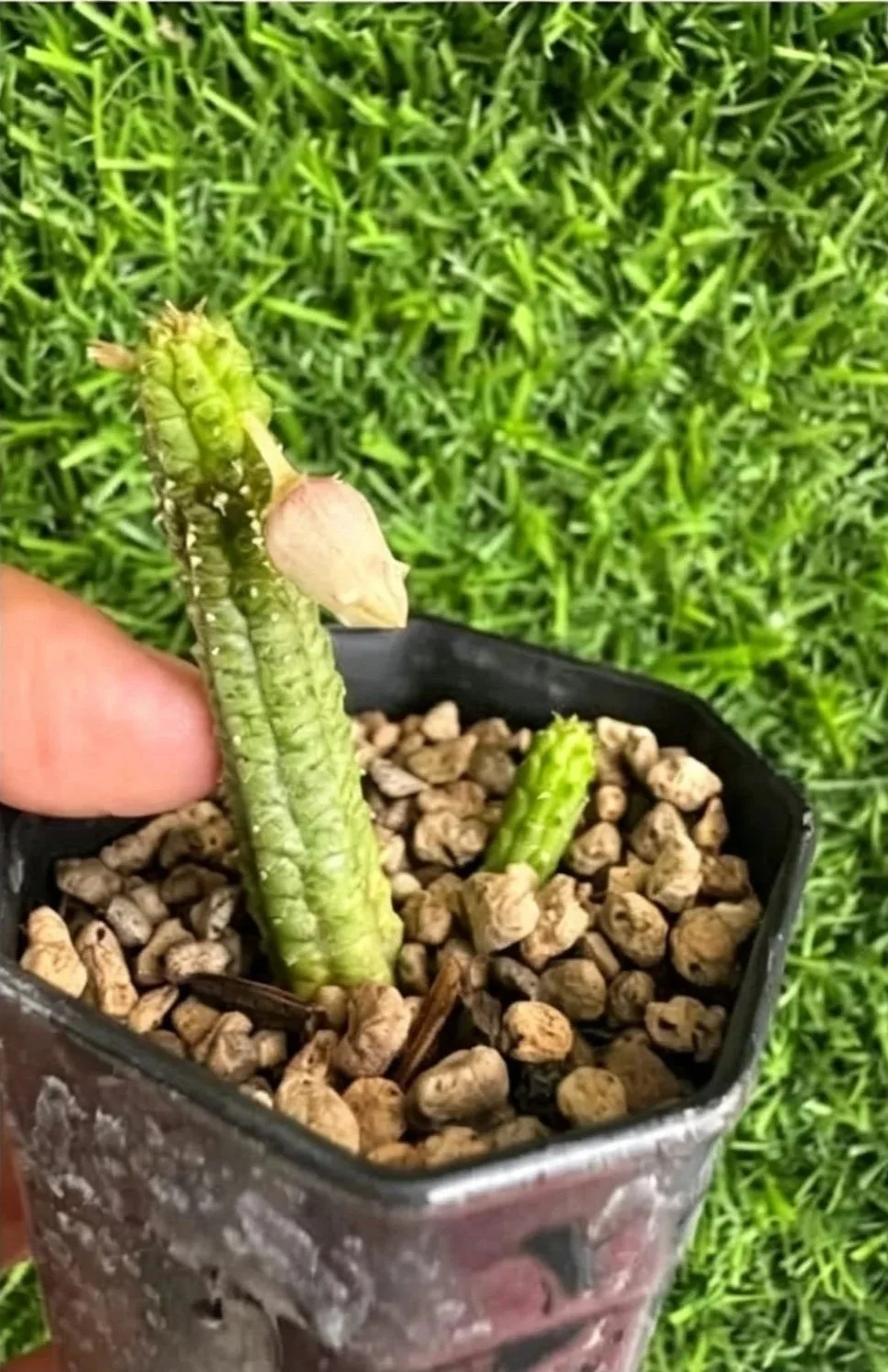 WhatsApp+Image+2026-07-18+at+21.15.06.jpg